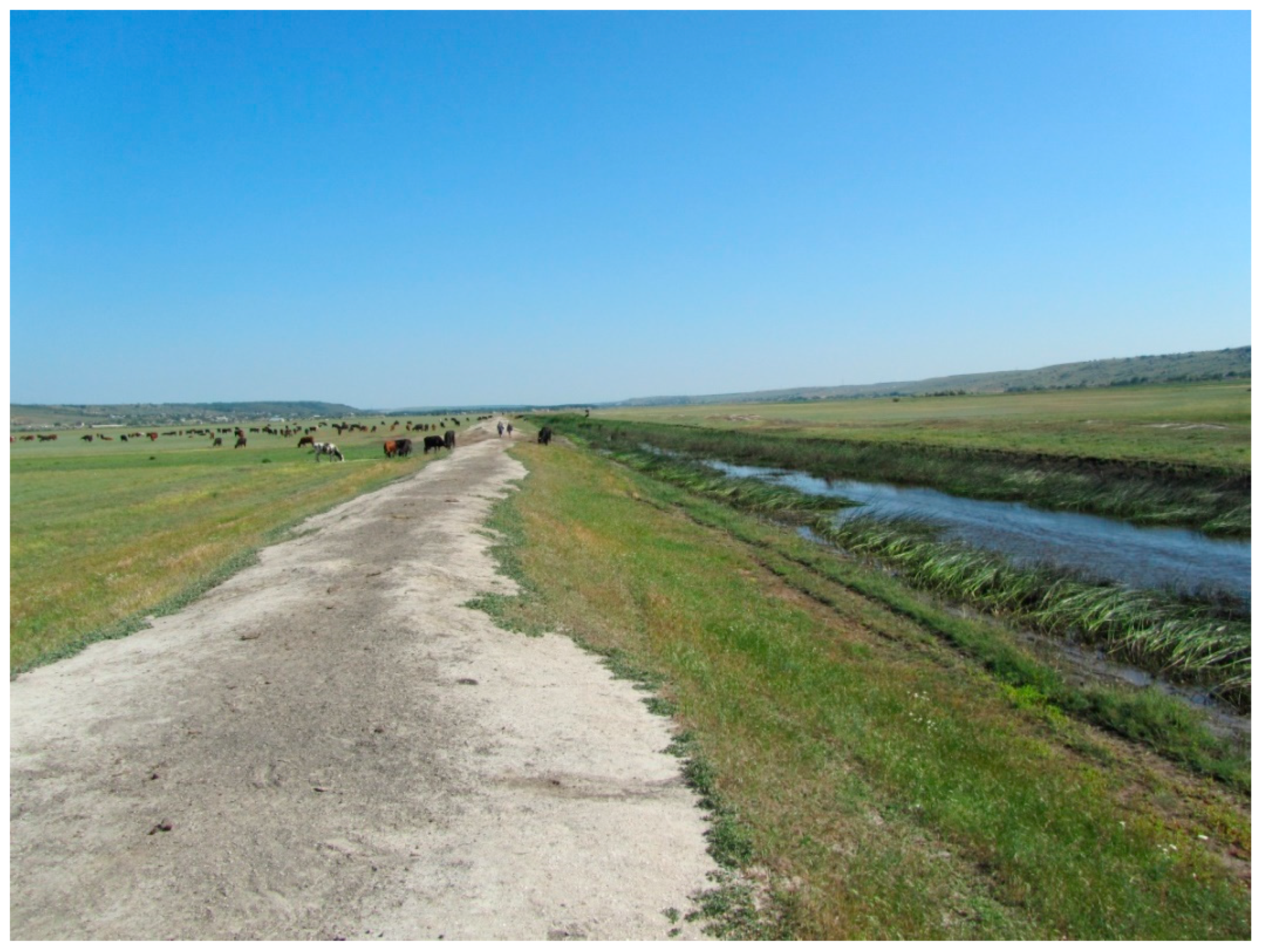 Diversity 14 01115 g008