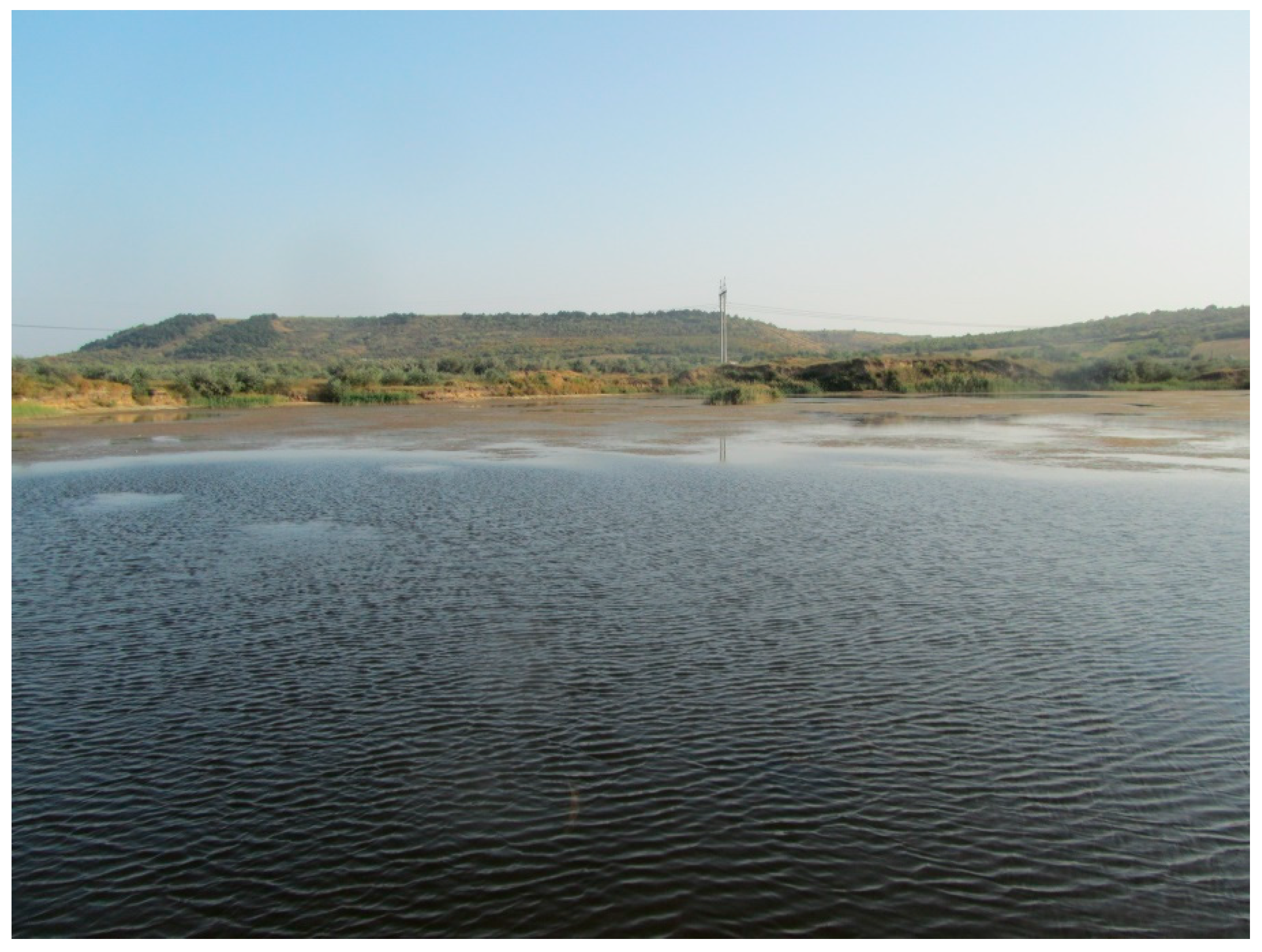 Diversity 14 01115 g013