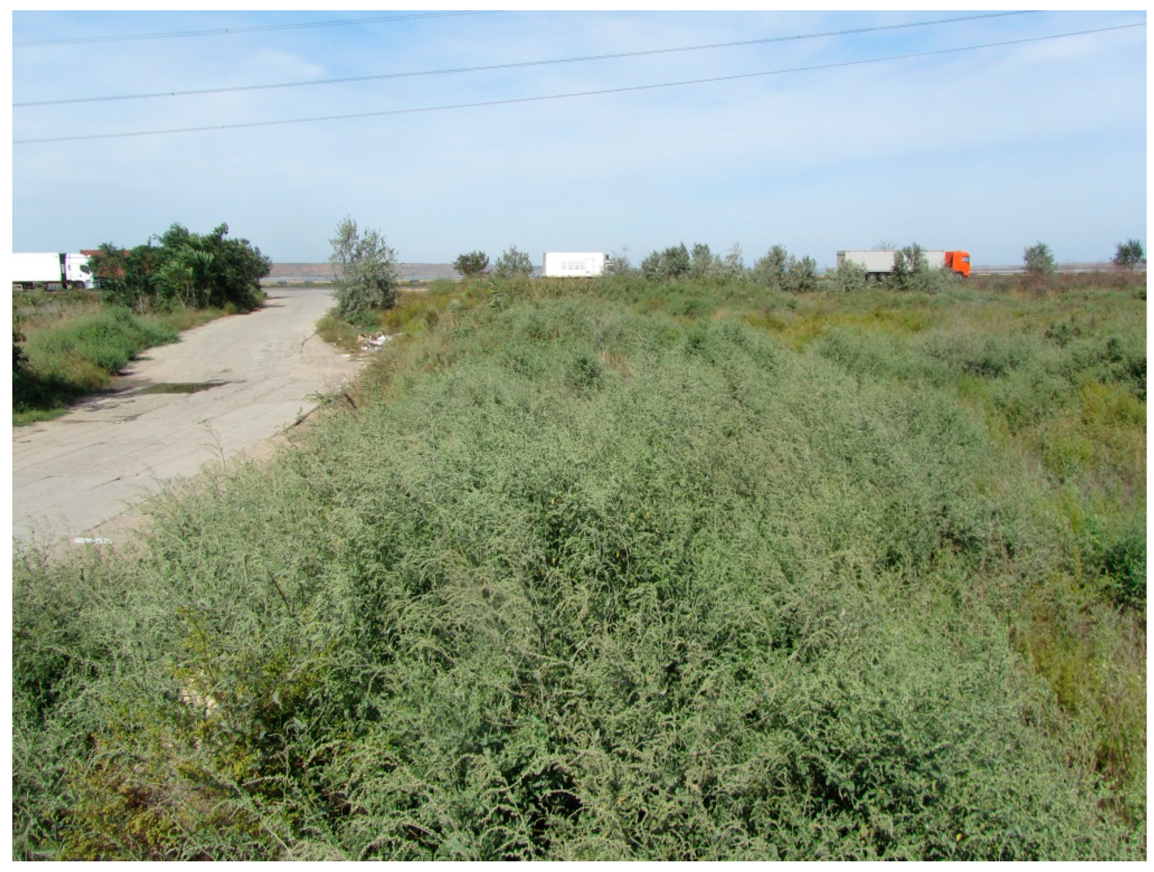 Diversity 14 01115 g015