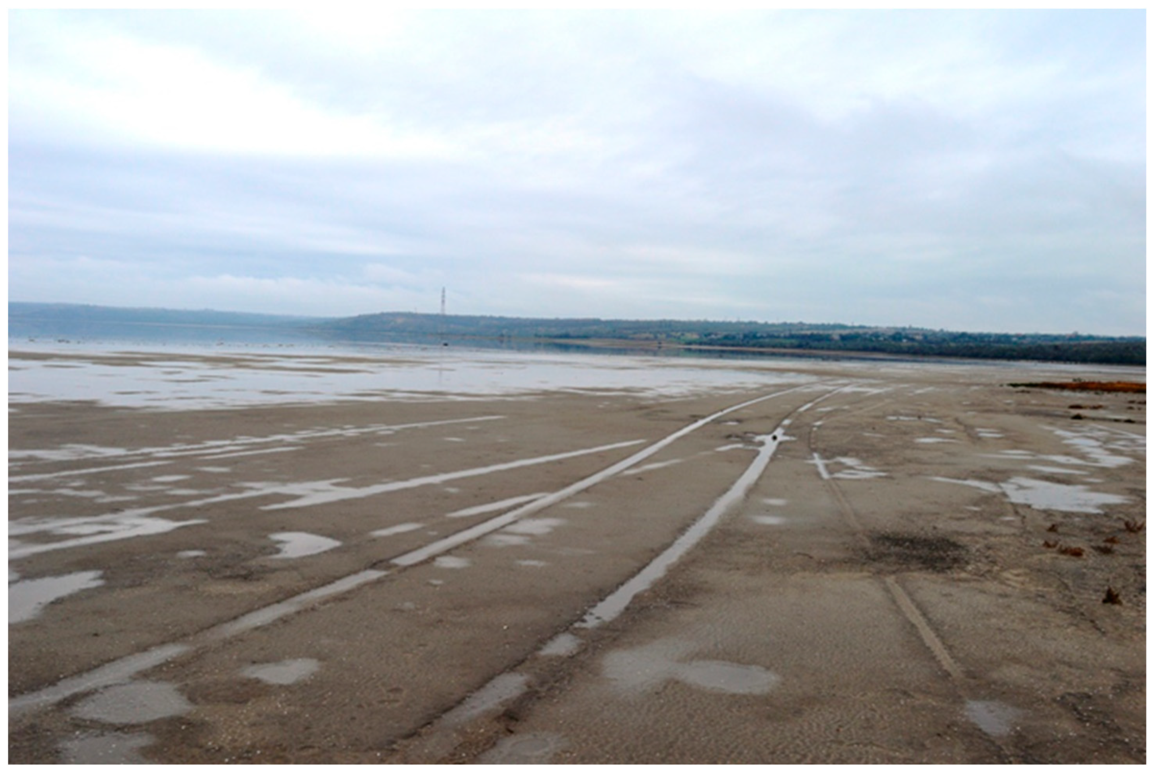 Diversity 14 01115 g016