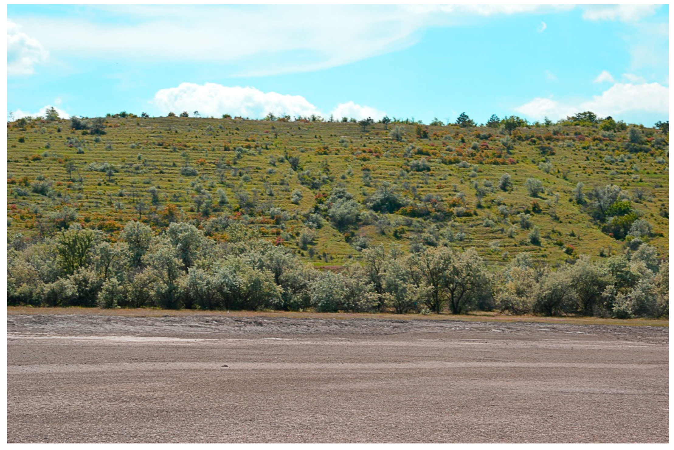 Diversity 14 01115 g017