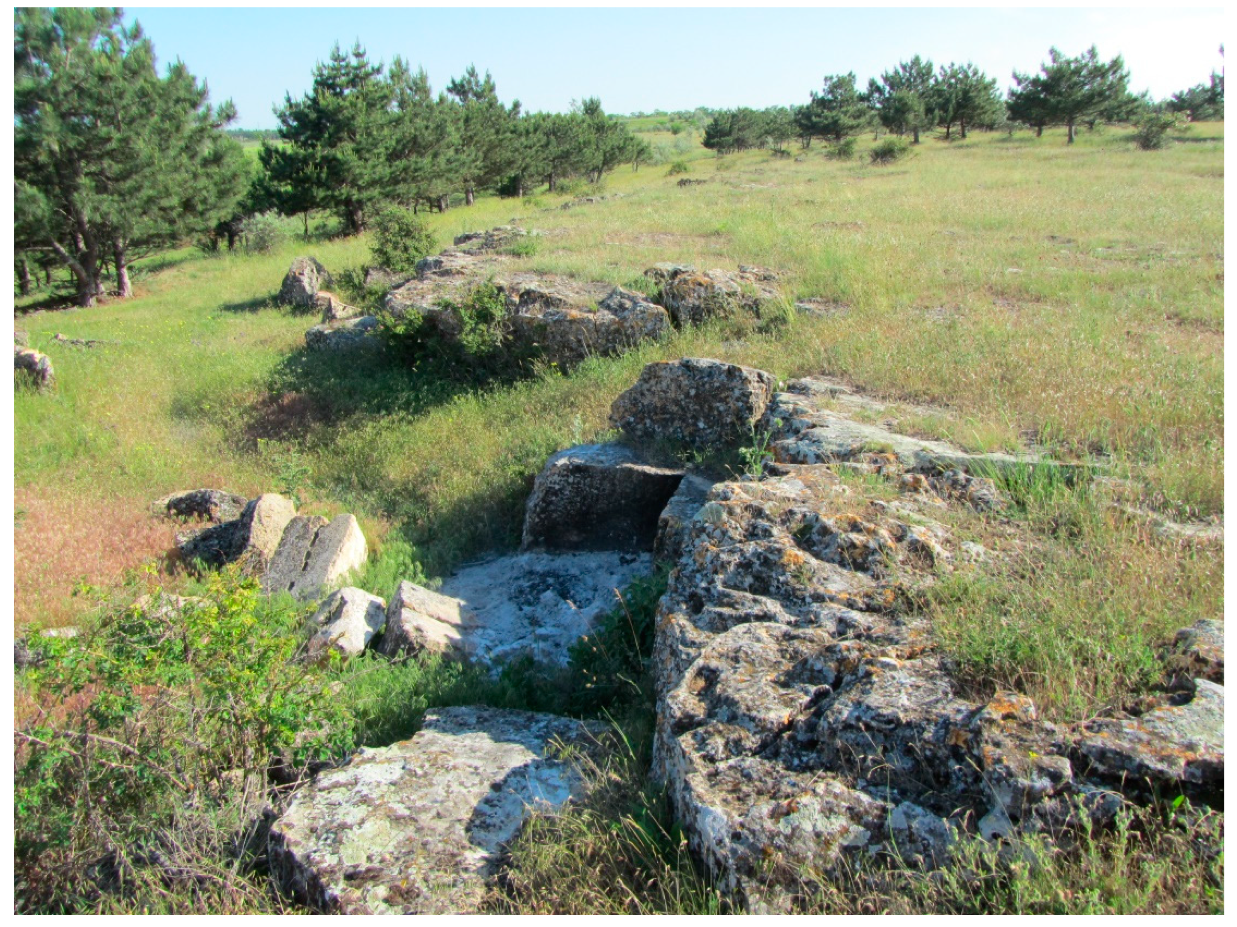 Diversity 14 01115 g019