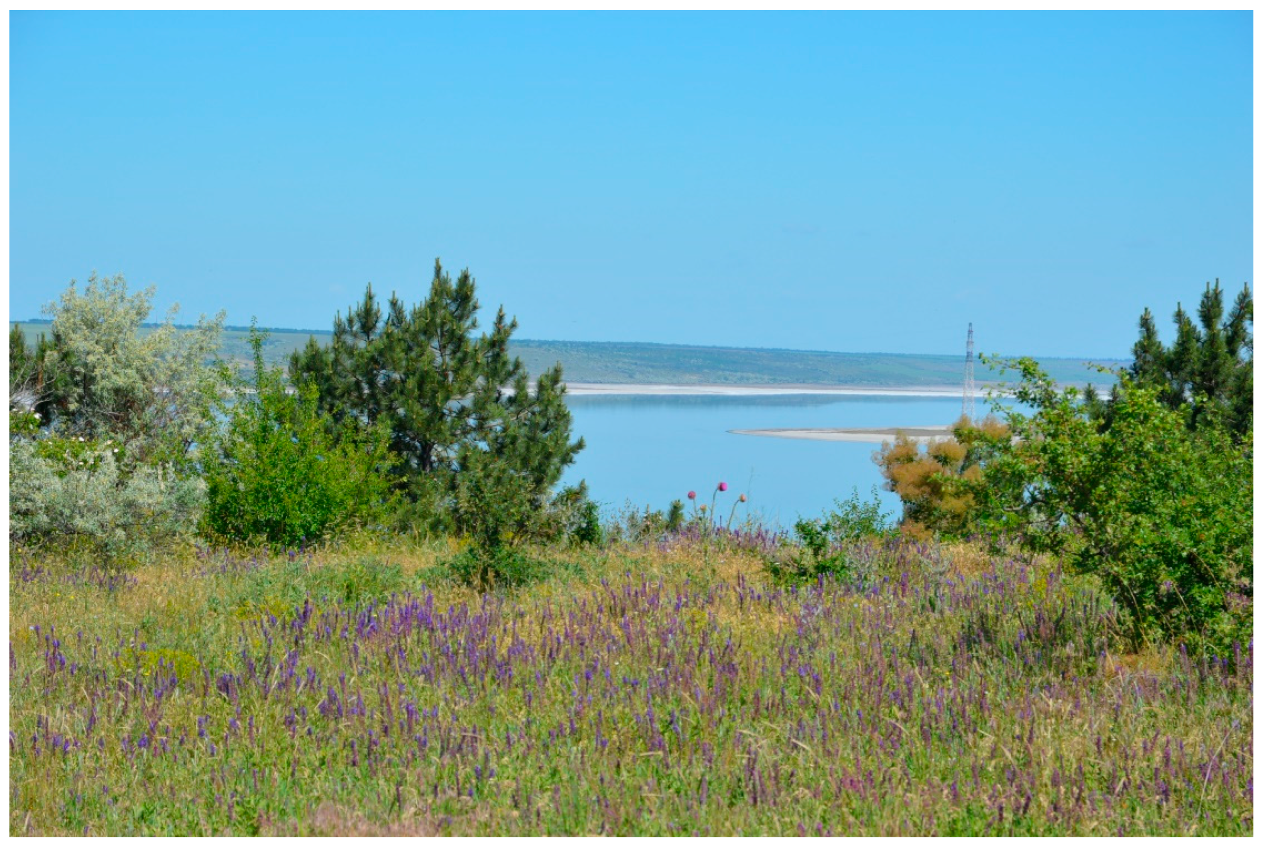 Diversity 14 01115 g021