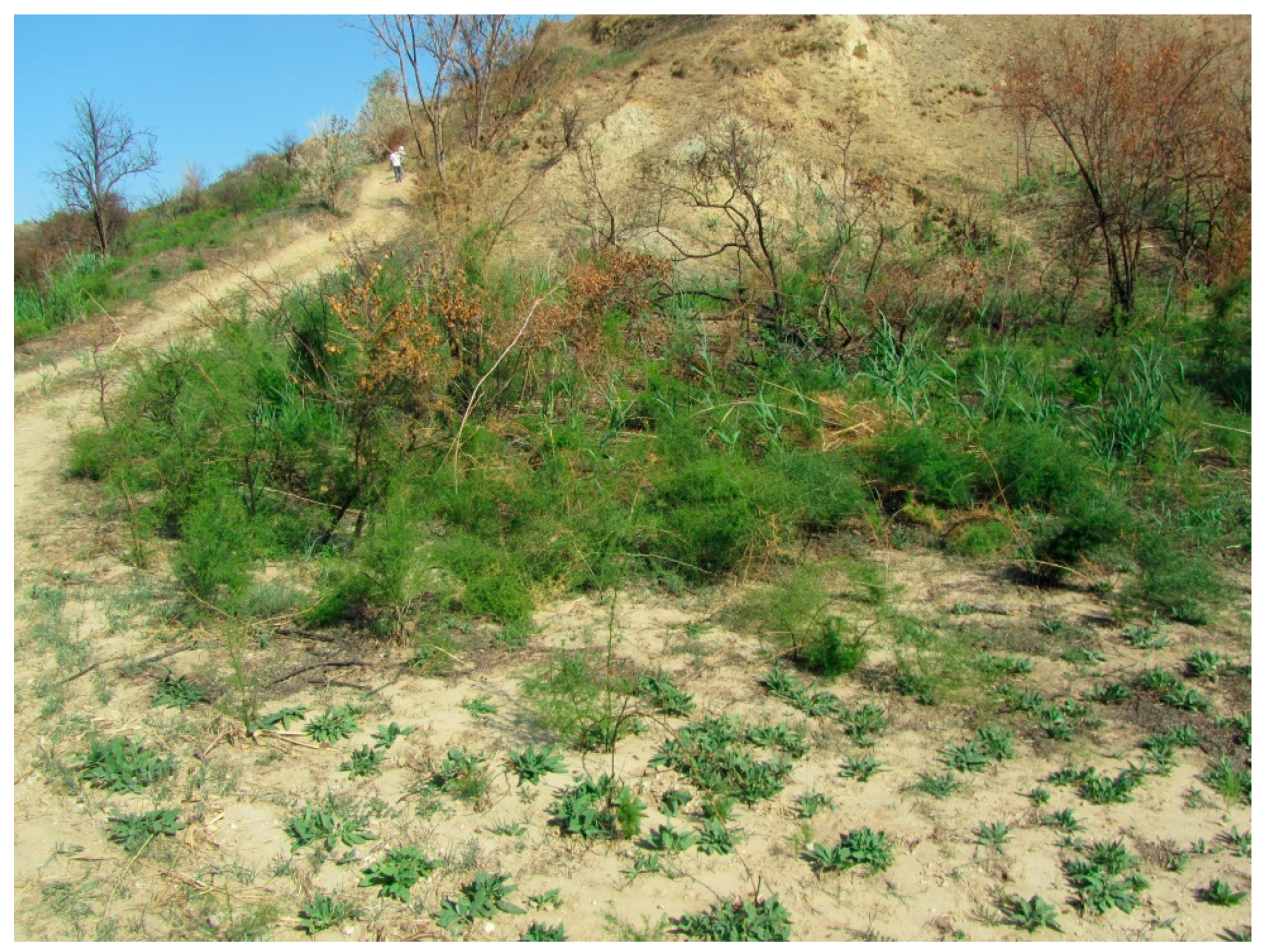 Diversity 14 01115 g022