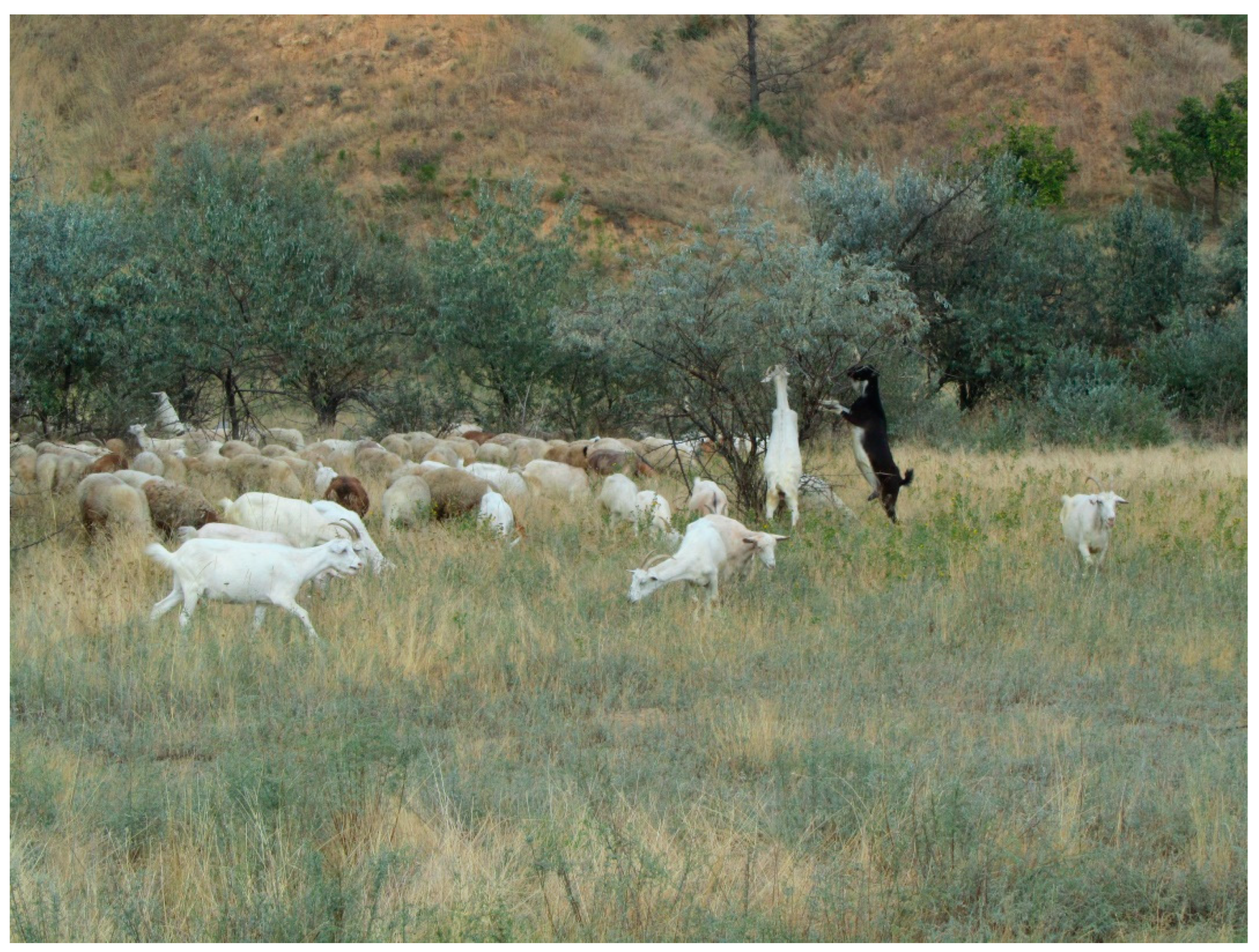 Diversity 14 01115 g024