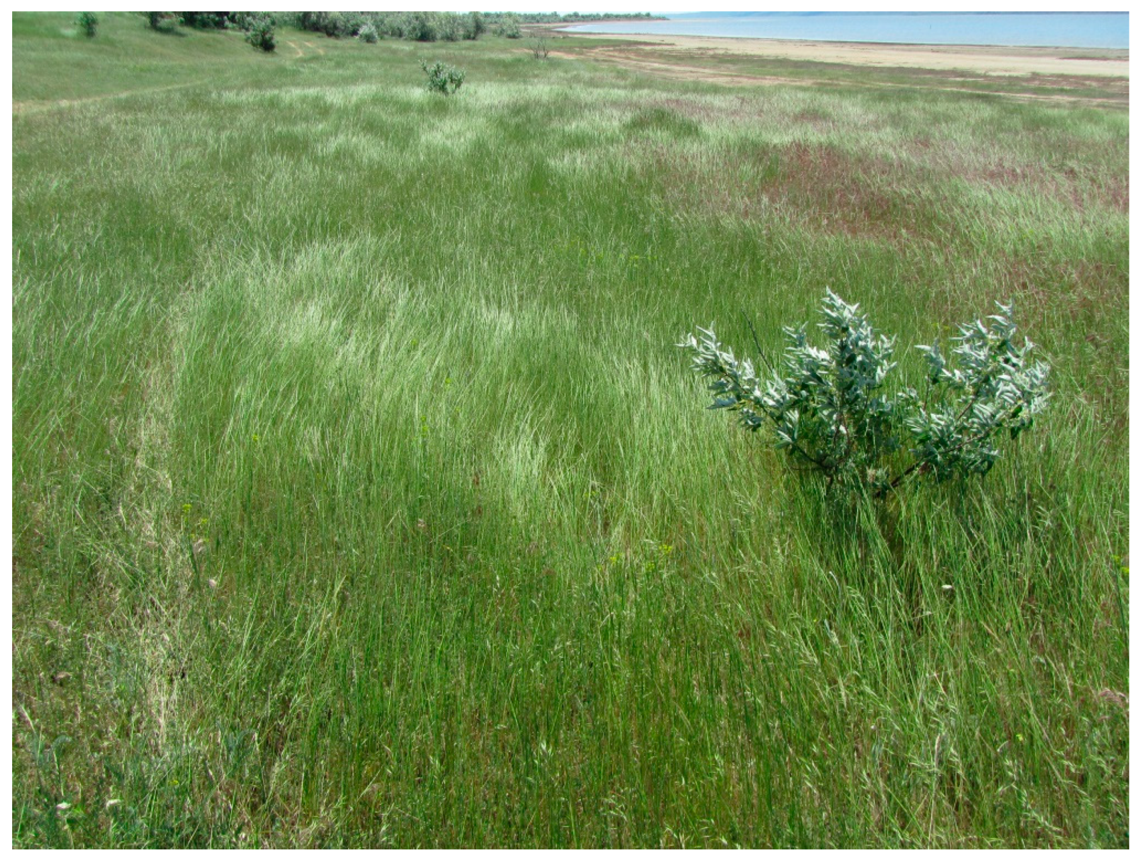 Diversity 14 01115 g025