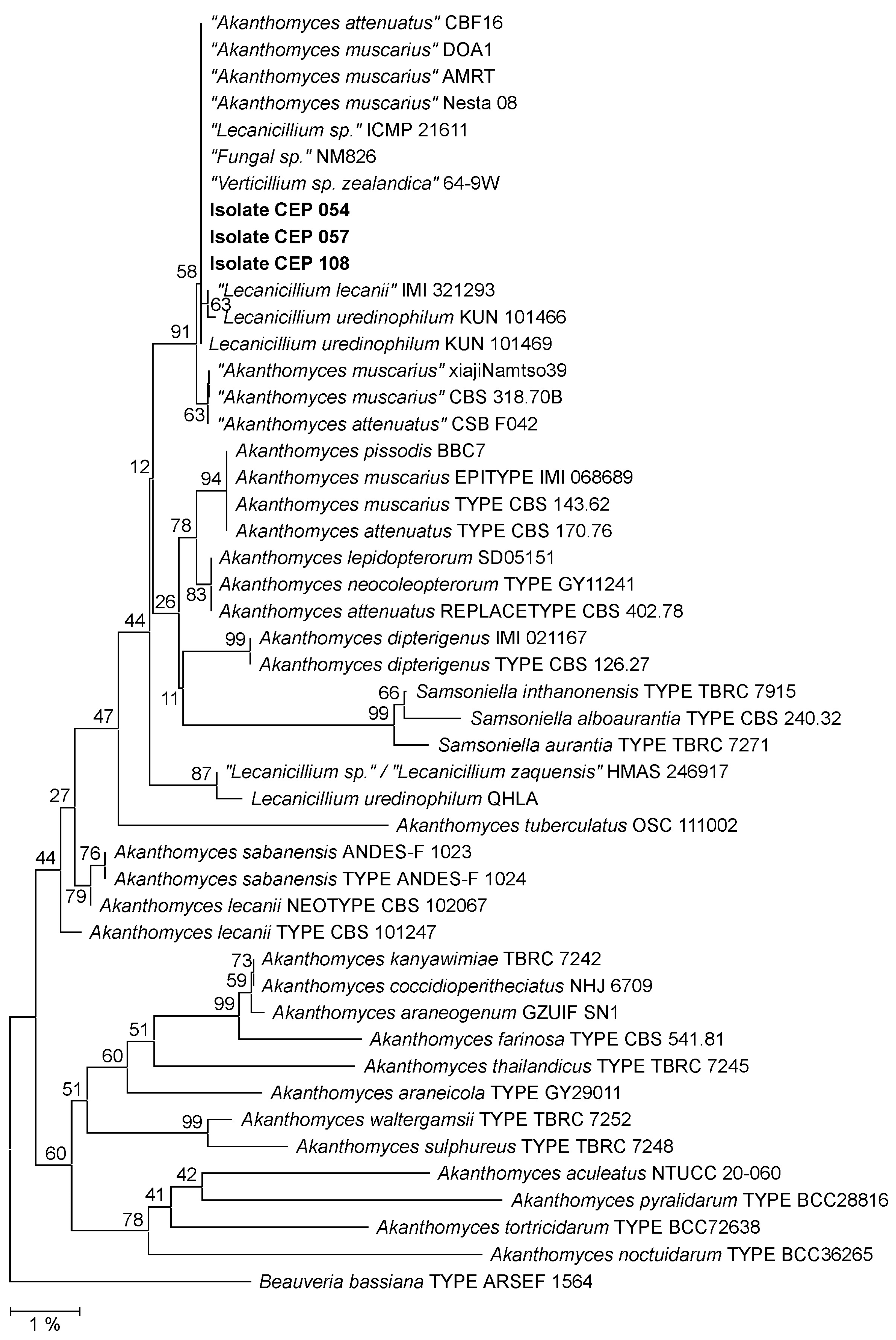 Diversity 14 01118 g002 Diversity 14 01118 g002