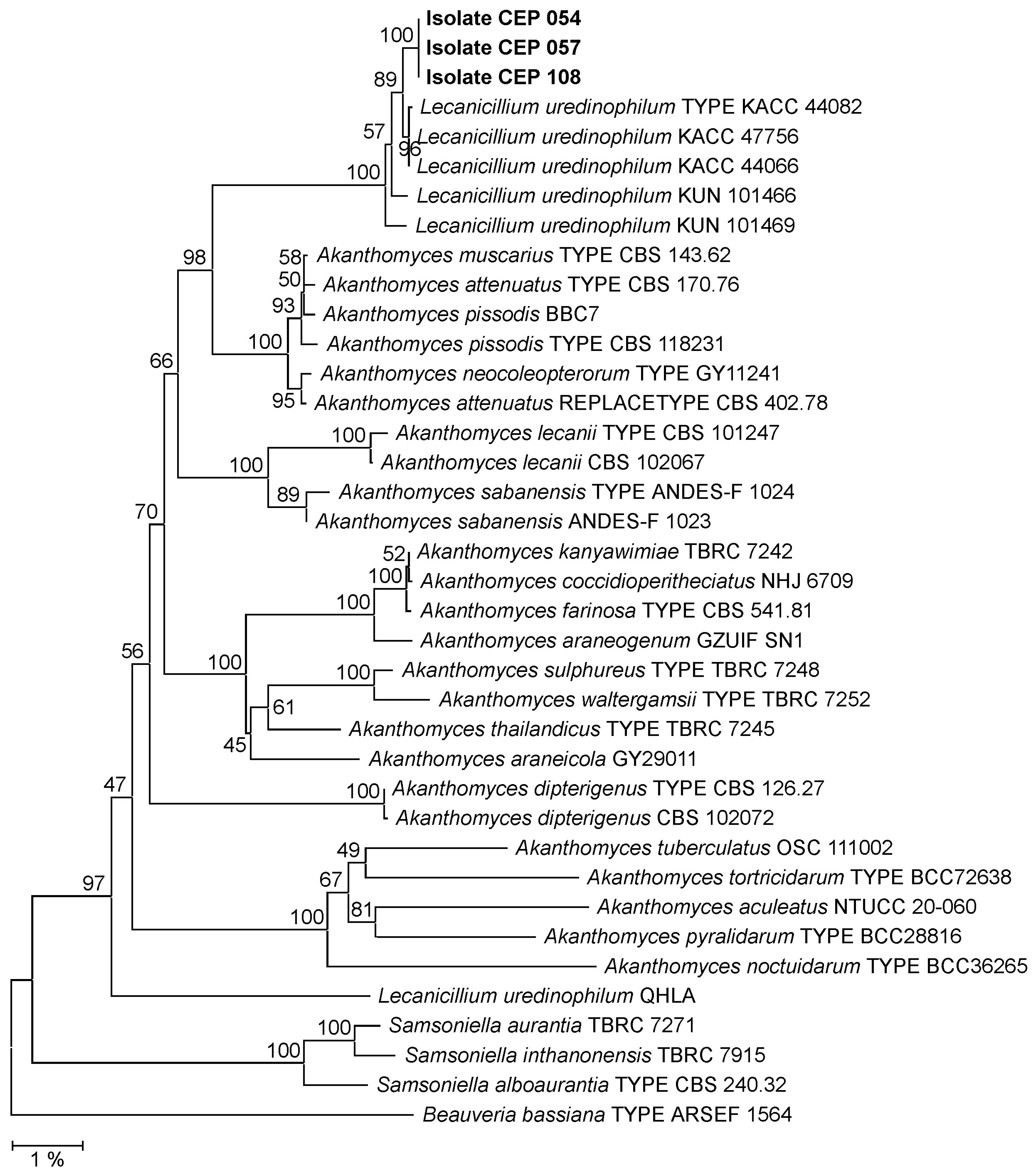 Diversity 14 01118 g003 Diversity 14 01118 g003