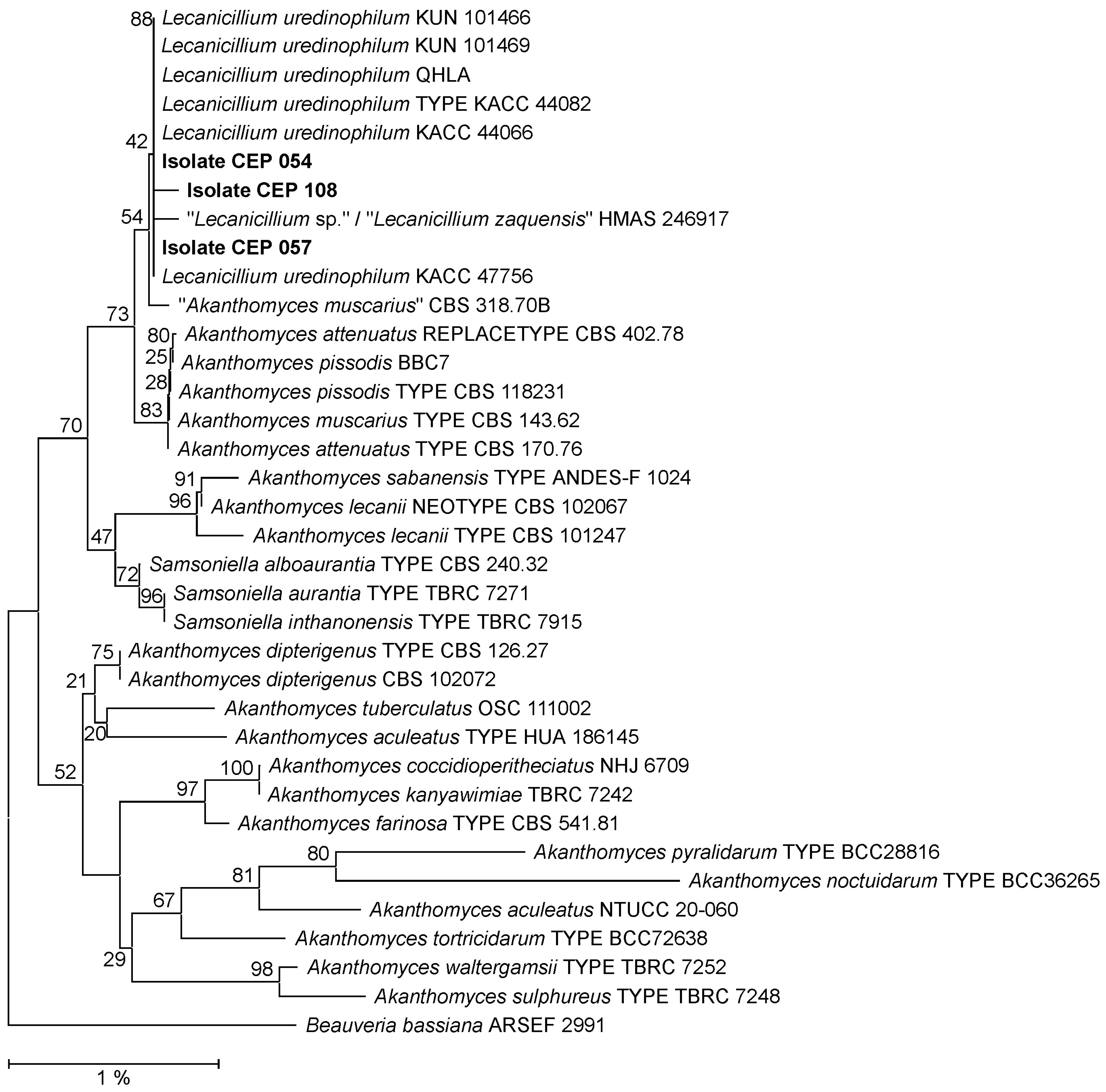 Diversity 14 01118 g004 Diversity 14 01118 g004