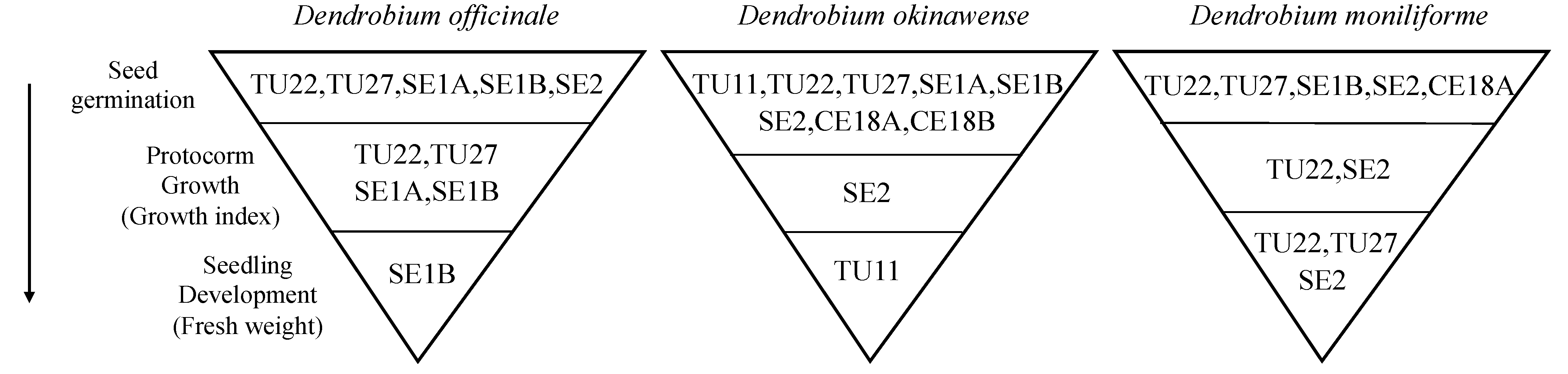 Diversity 14 01119 g004 Diversity 14 01119 g004