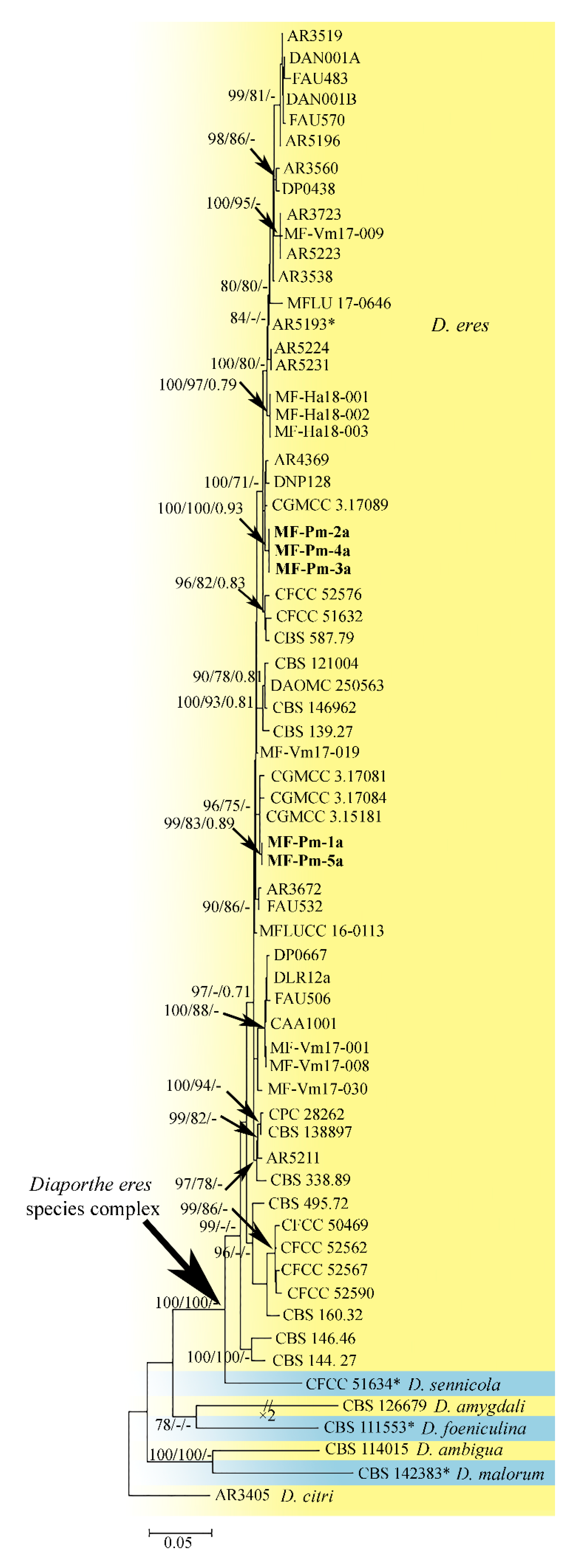 Diversity 14 01124 g001