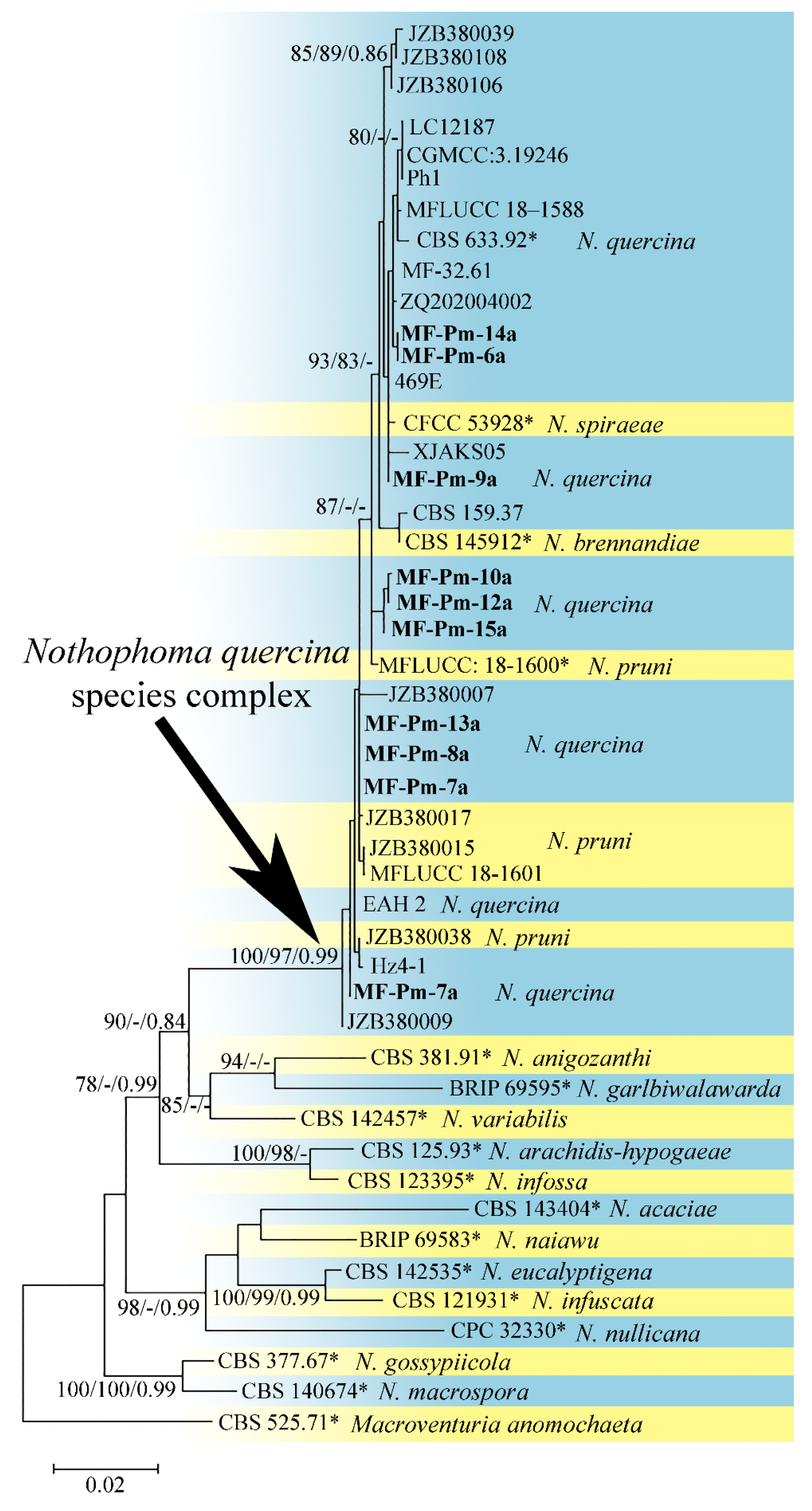 Diversity 14 01124 g002