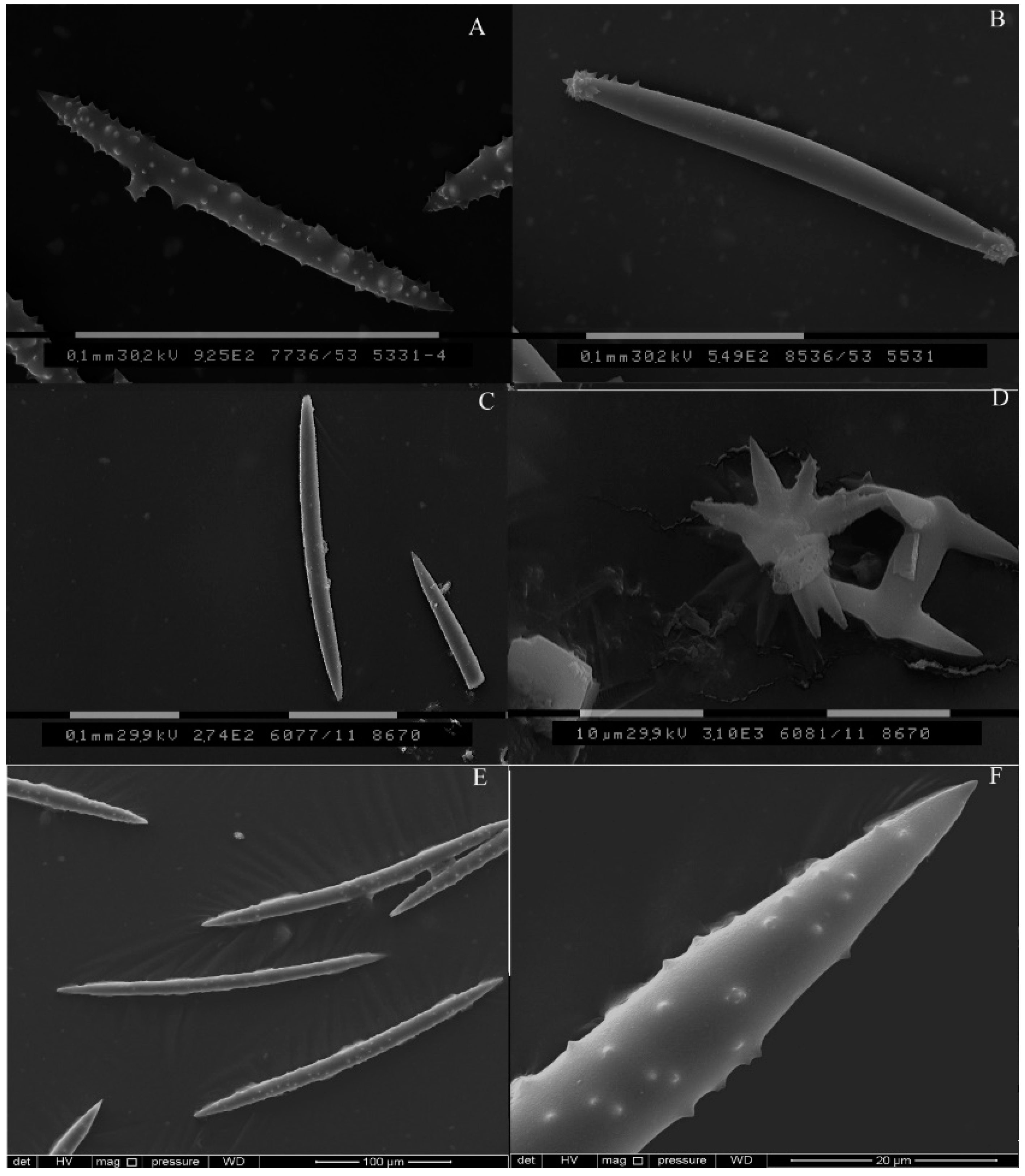 Diversity 14 01126 g002 Diversity 14 01126 g002