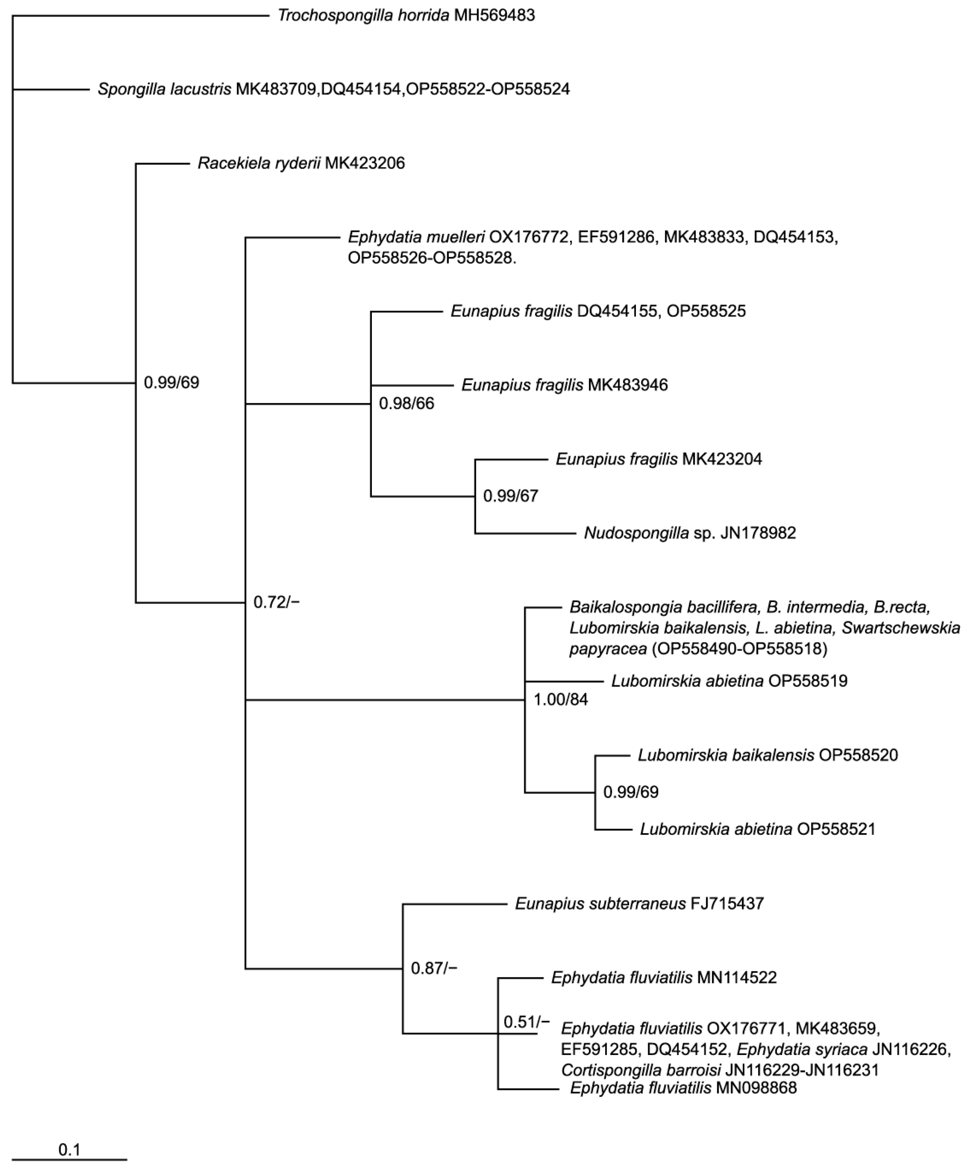 Diversity 14 01126 g004 Diversity 14 01126 g004