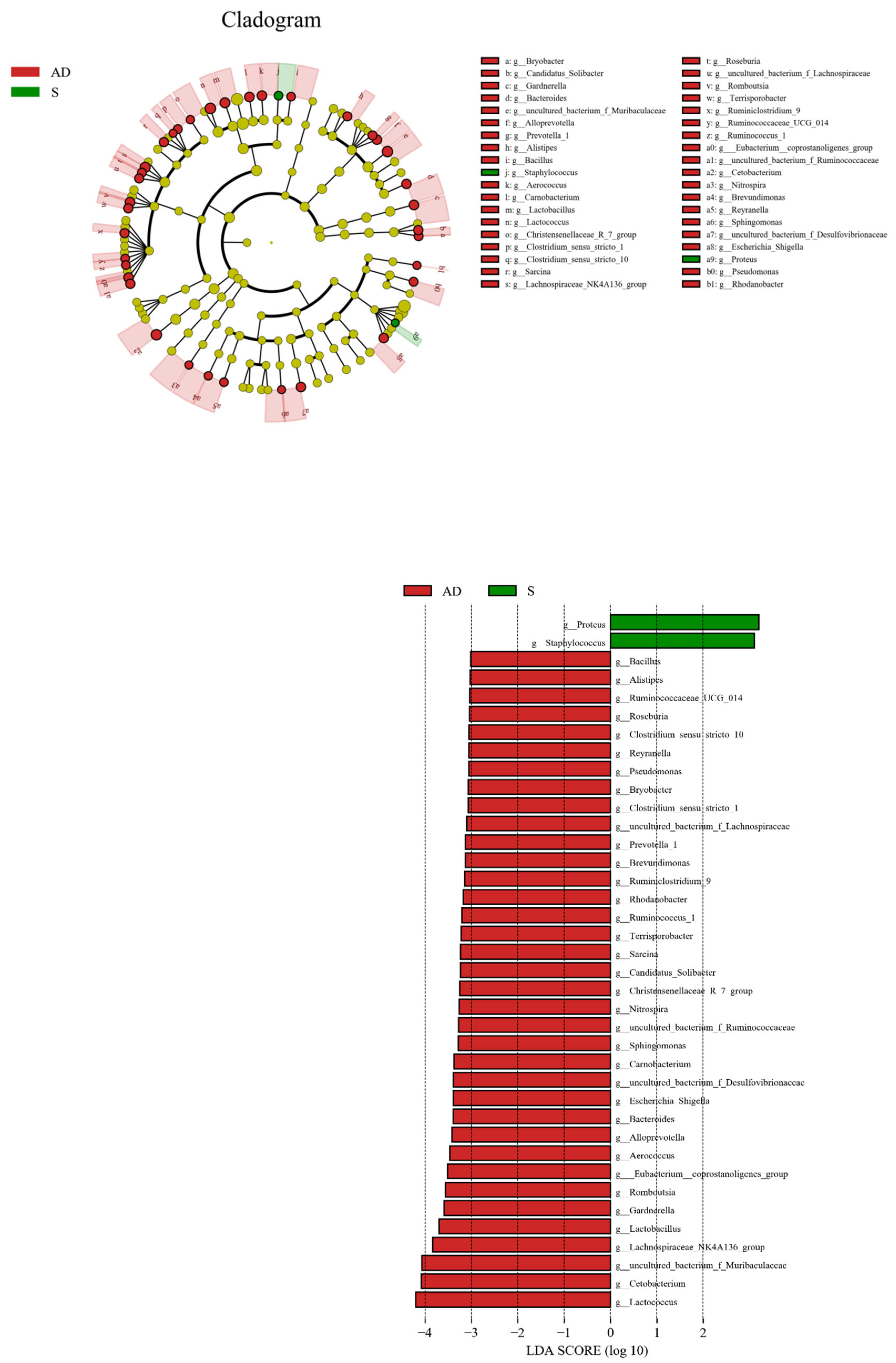 Diversity 14 01130 g007 Diversity 14 01130 g007