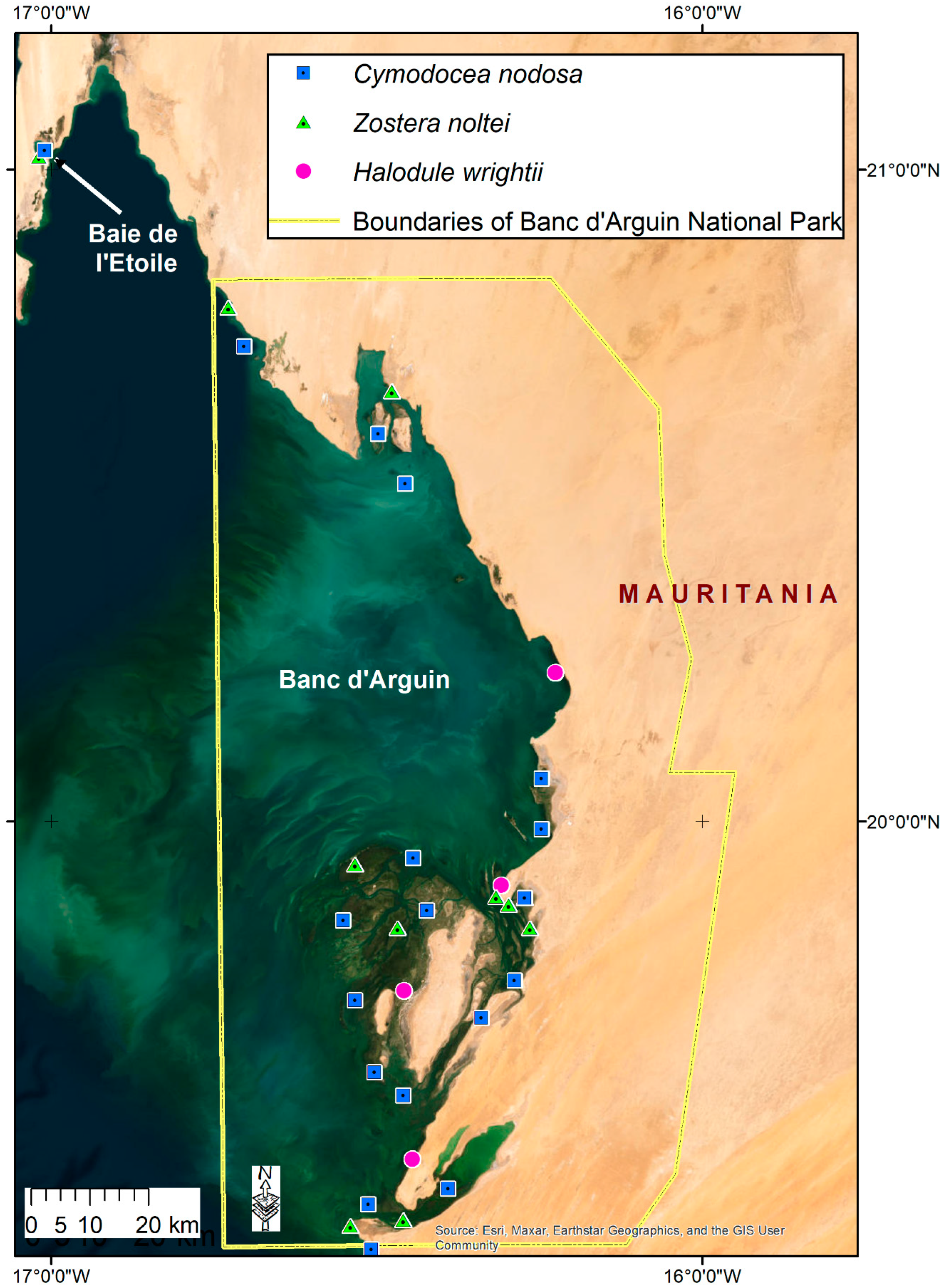 Diversity 15 00005 g003 Diversity 15 00005 g003