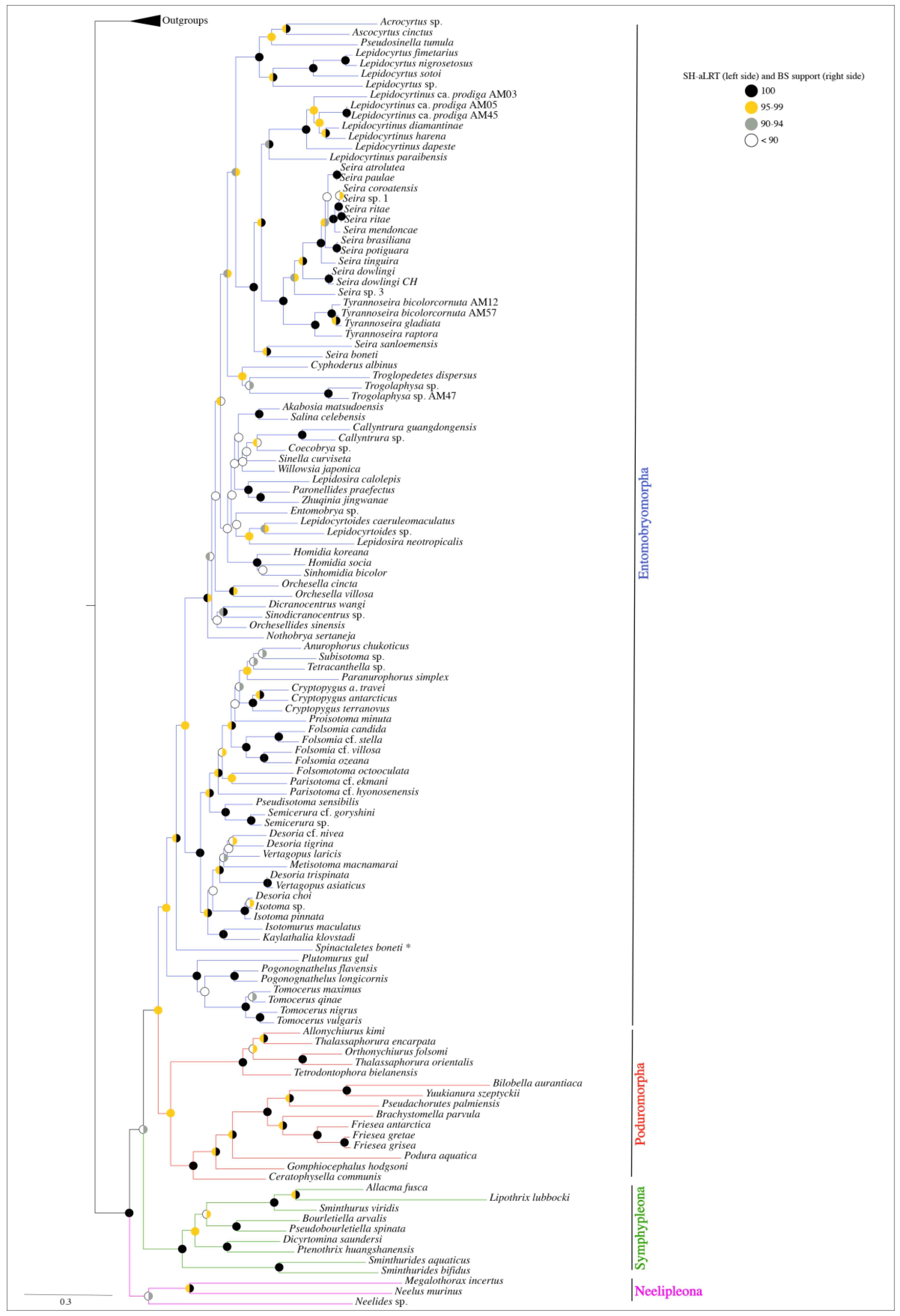 Diversity 15 00007 g001 Diversity 15 00007 g001
