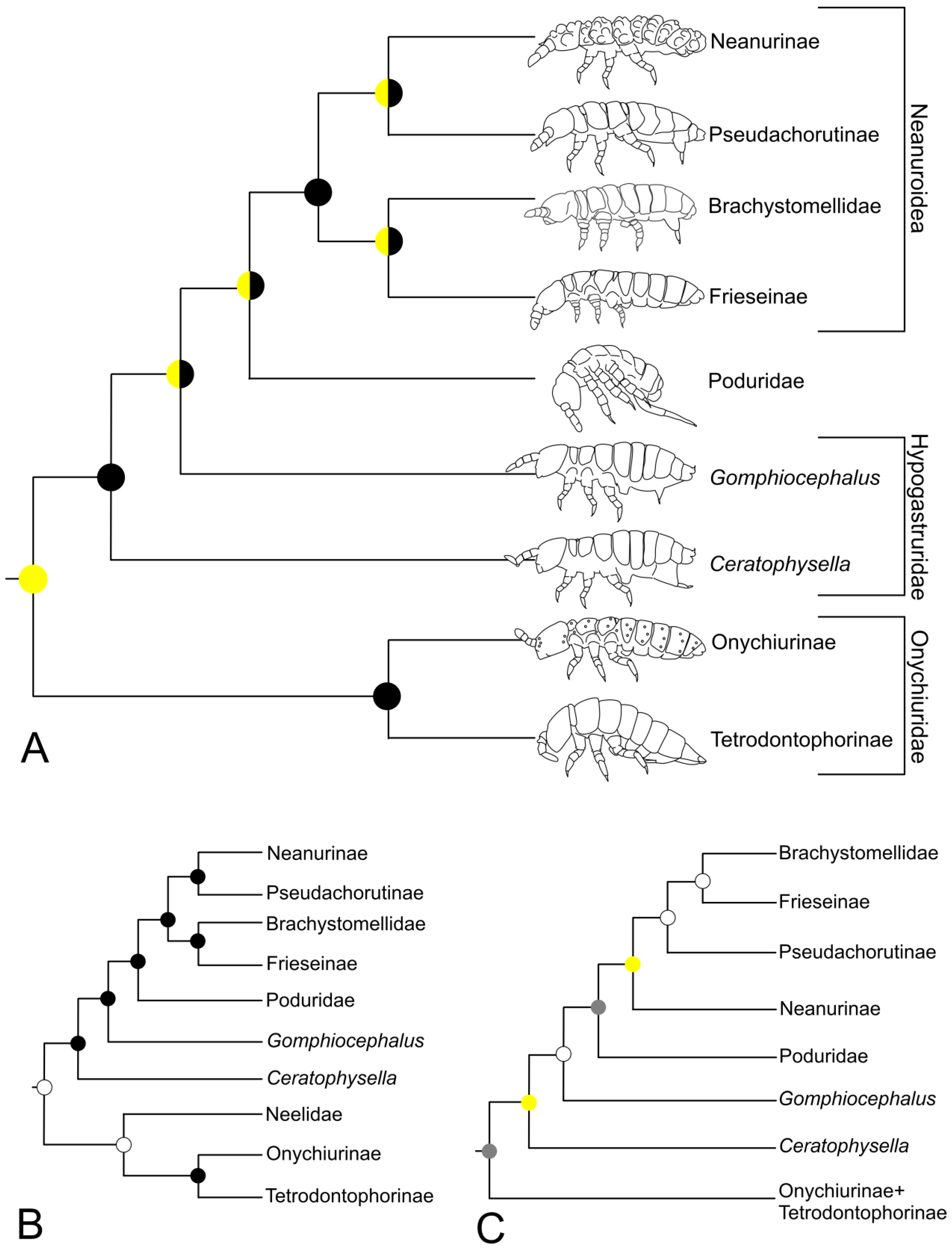 Diversity 15 00007 g004 Diversity 15 00007 g004