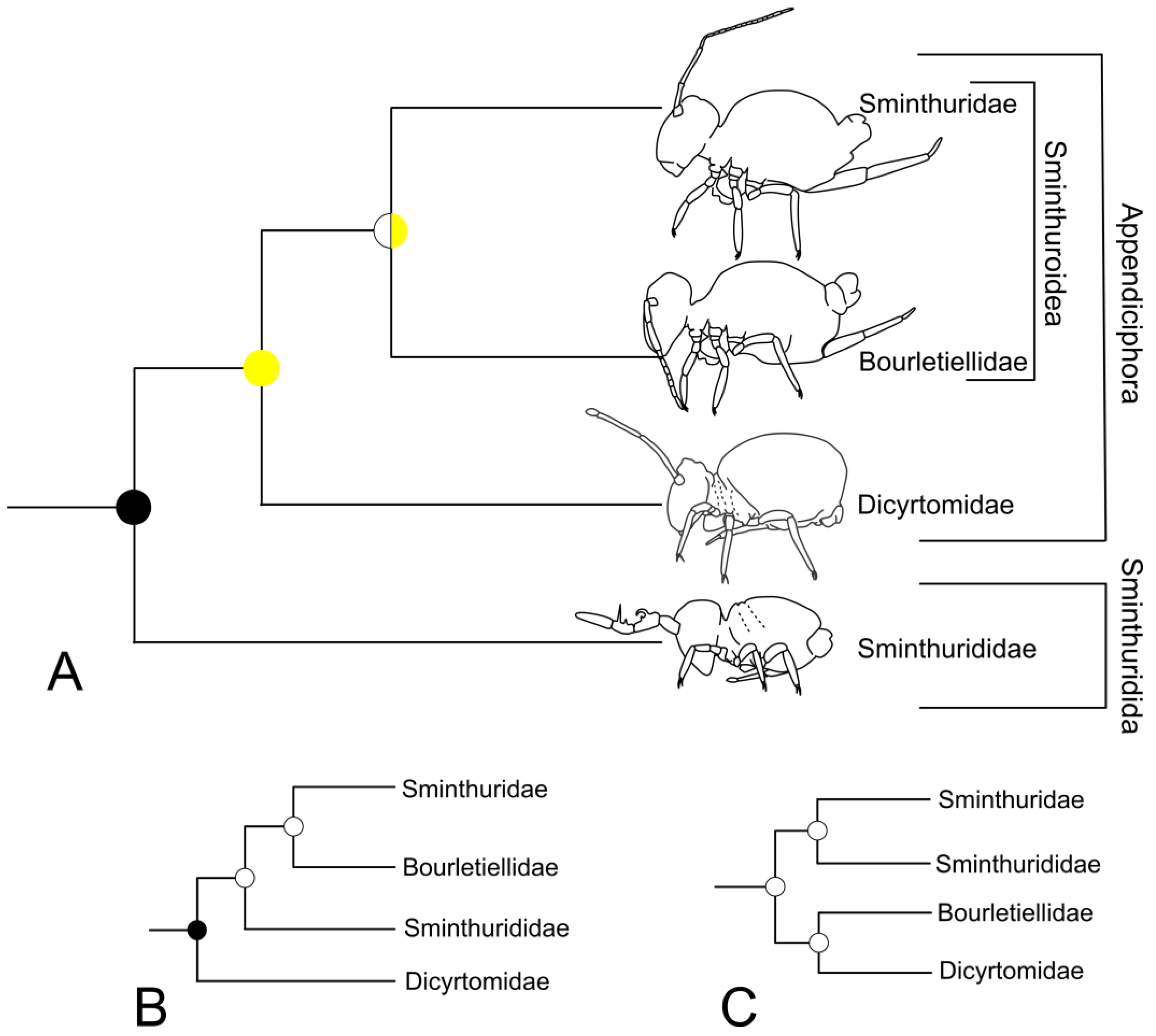 Diversity 15 00007 g005 Diversity 15 00007 g005