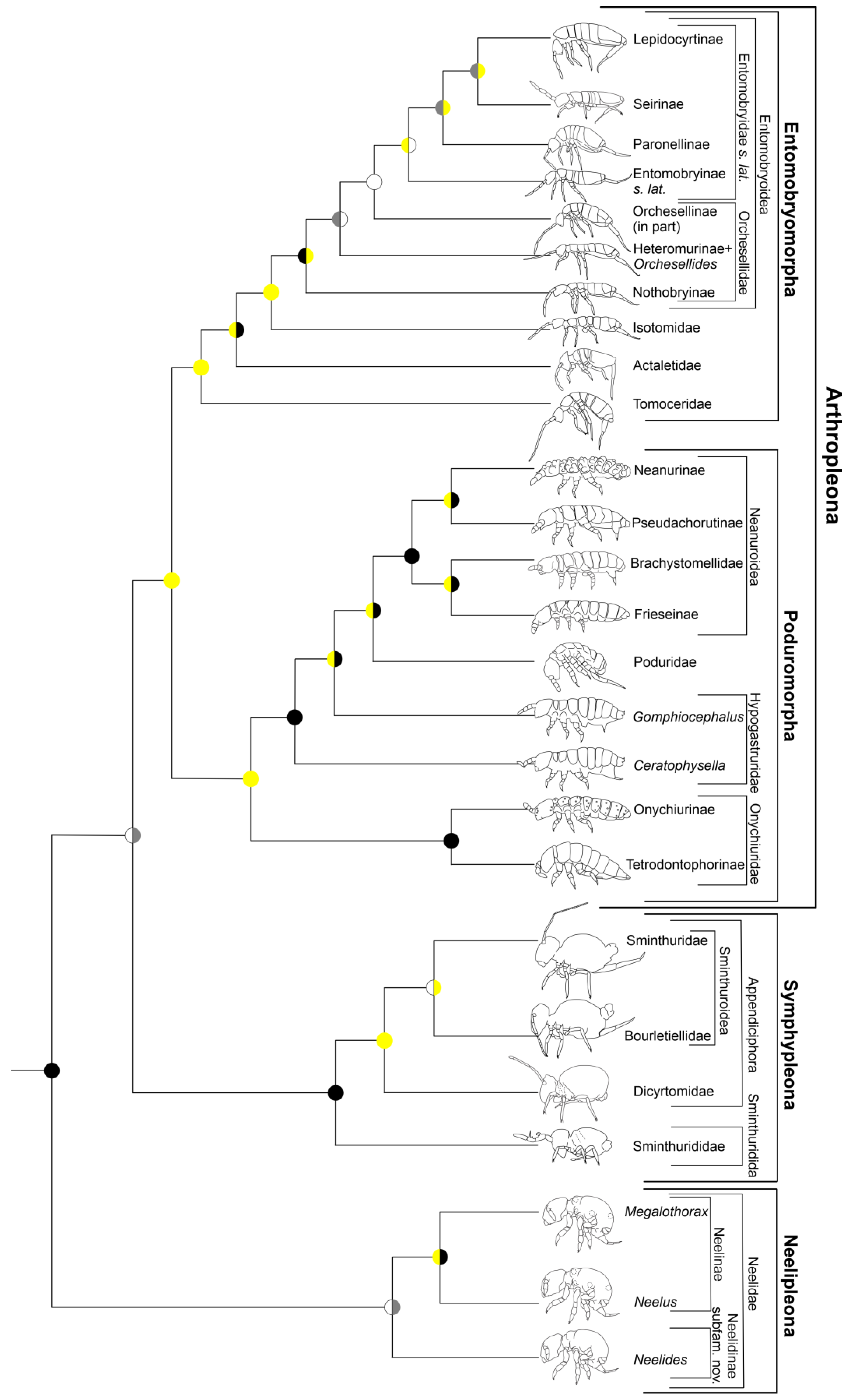 Diversity 15 00007 g007 Diversity 15 00007 g007