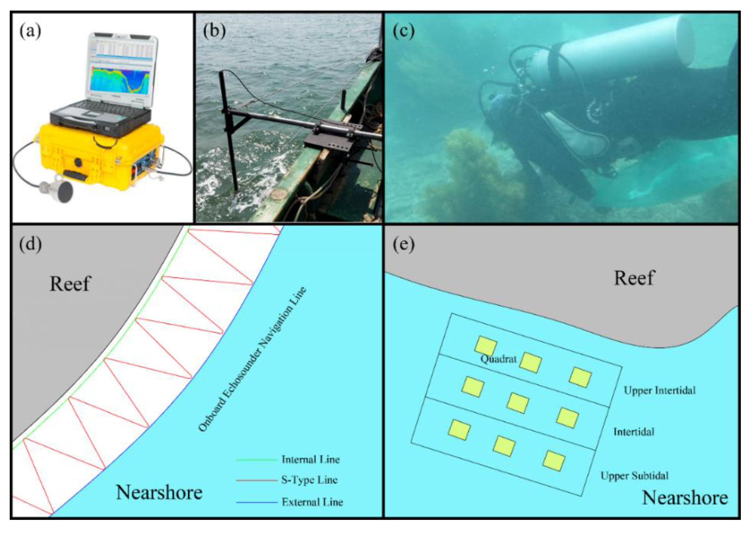 Diversity 15 00012 g002 Diversity 15 00012 g002