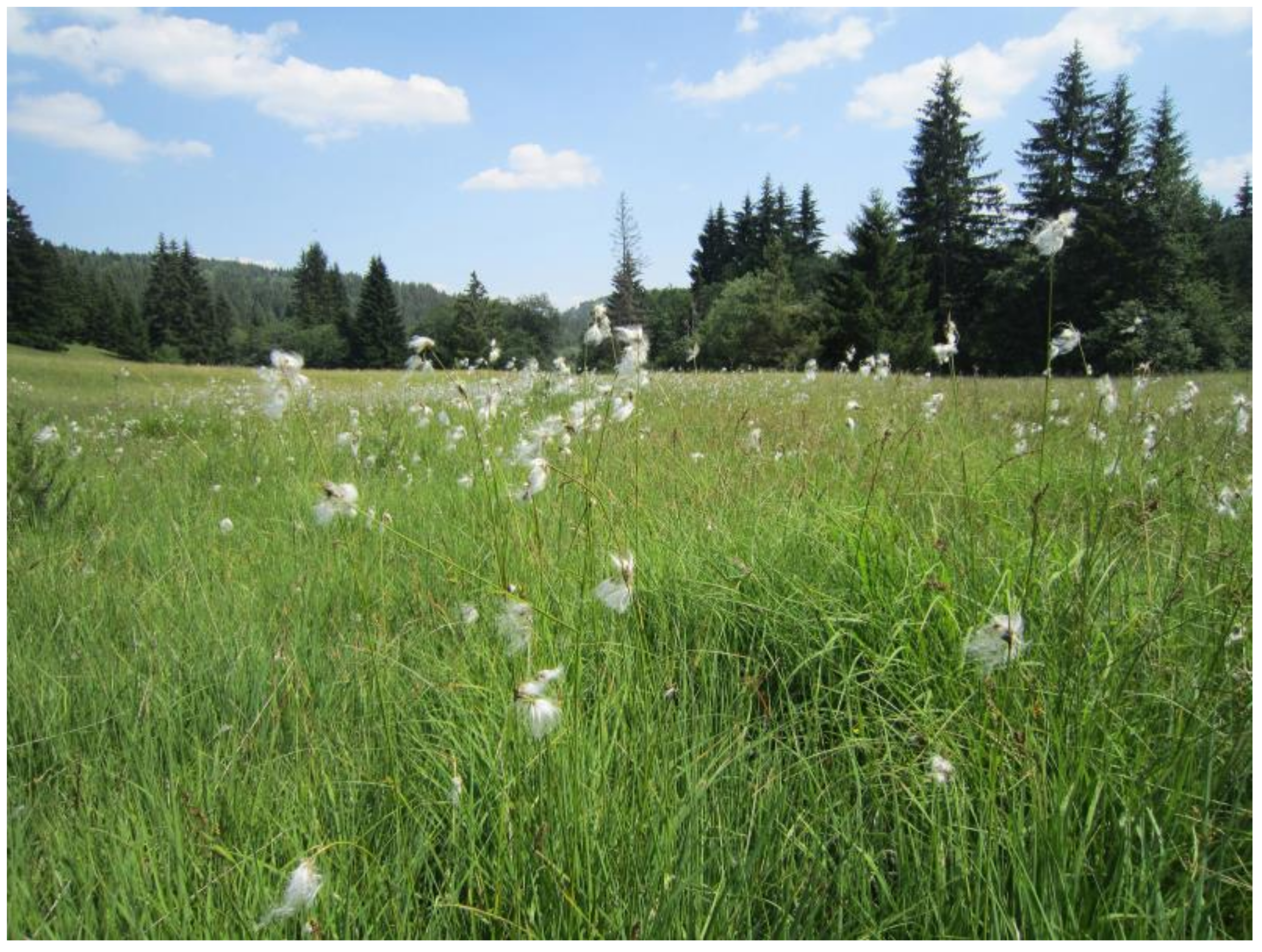 Diversity 15 00026 g013 Diversity 15 00026 g013