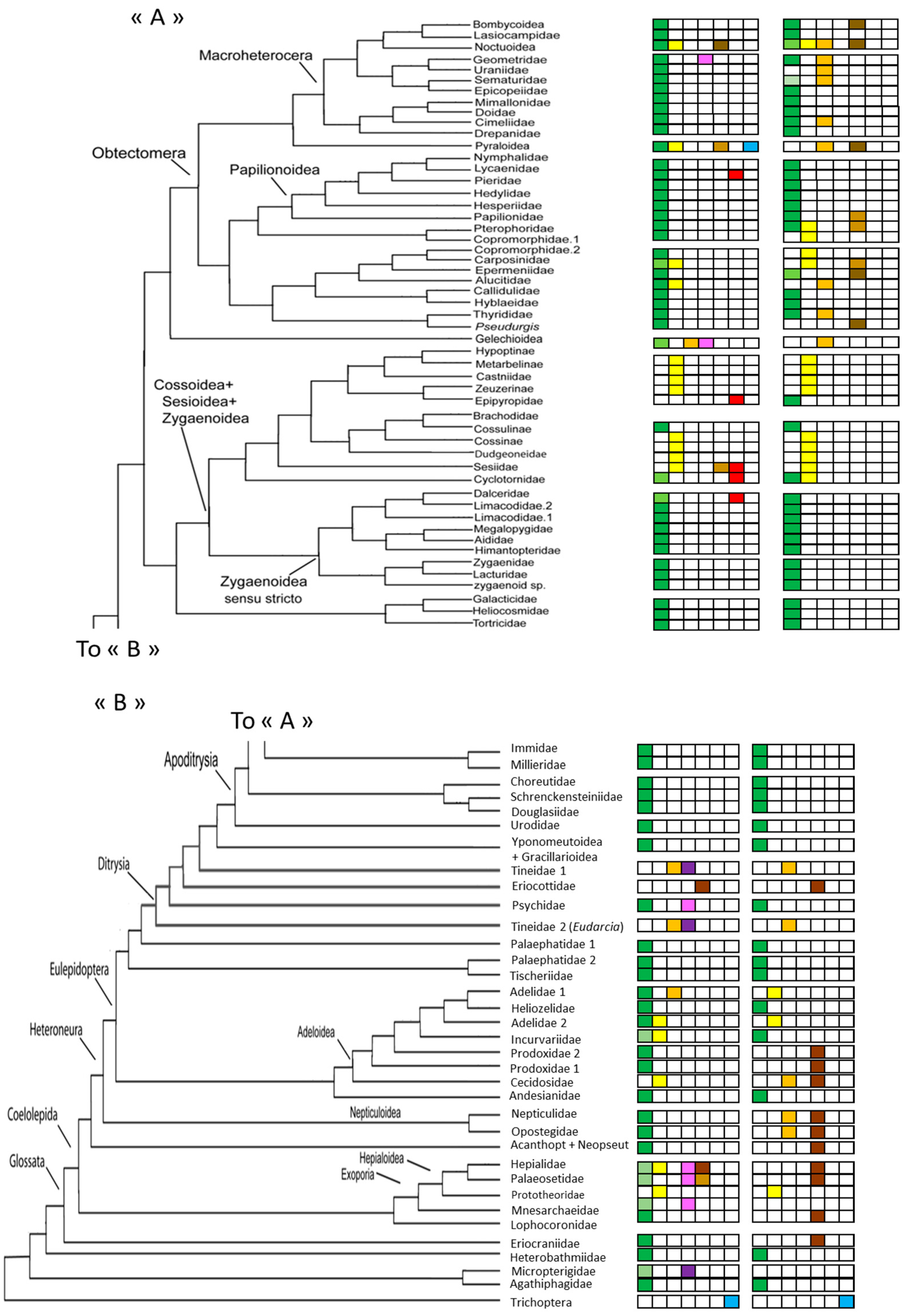 Diversity 15 00027 g001