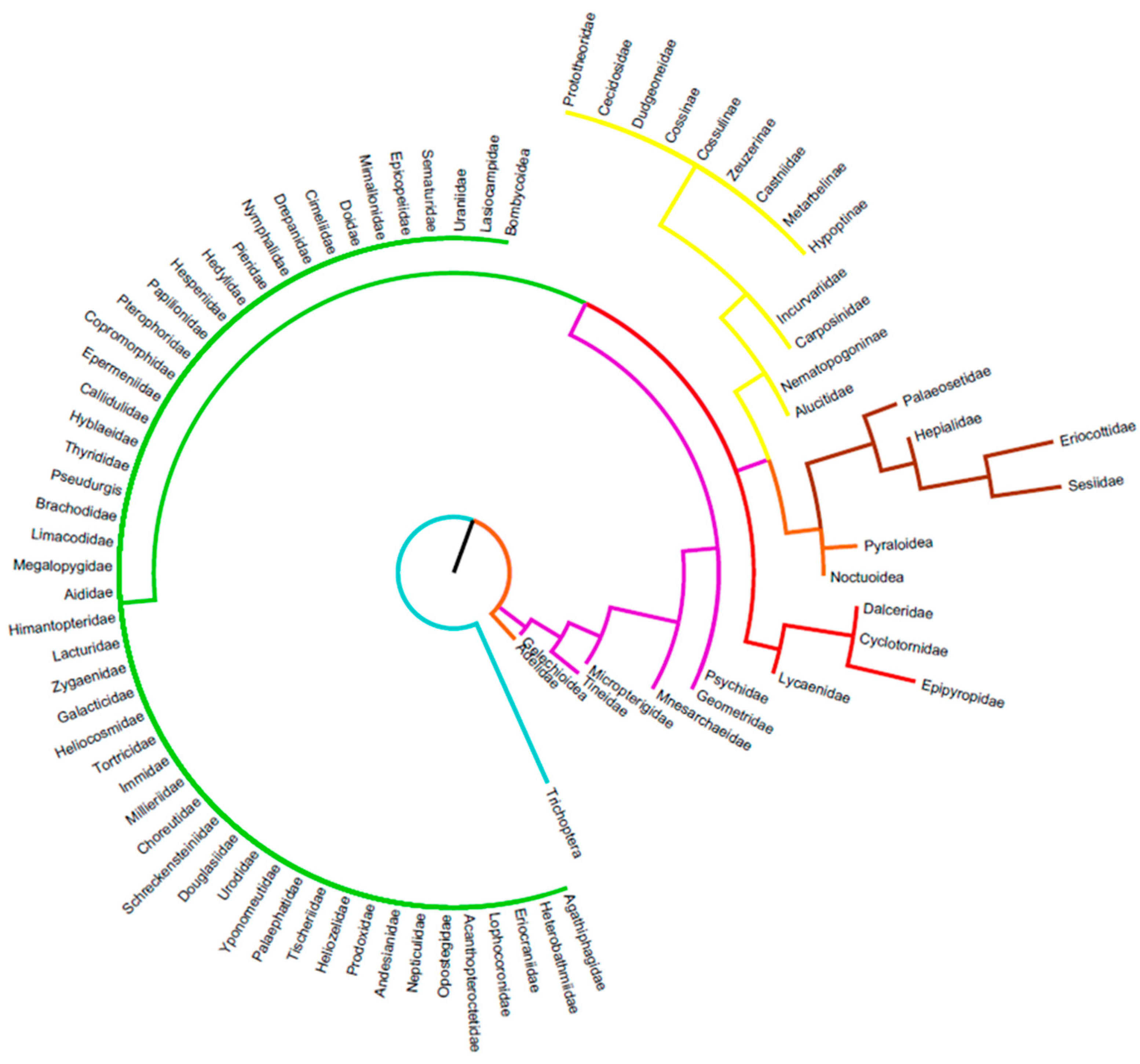 Diversity 15 00027 g003