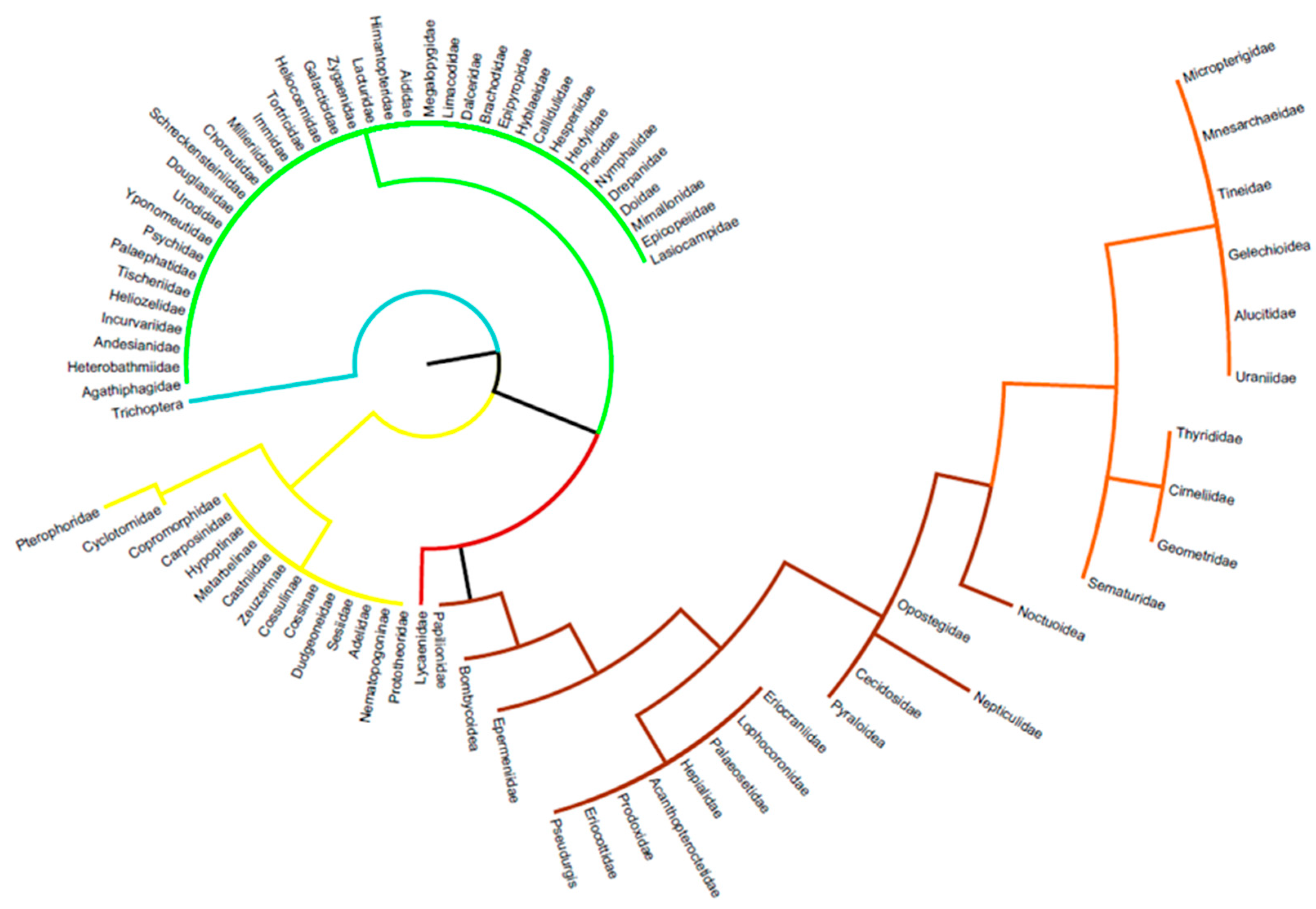 Diversity 15 00027 g004