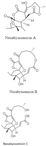 Diversity 15 00030 i013 Diversity 15 00030 i013