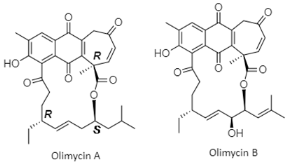 Diversity 15 00030 i019 Diversity 15 00030 i019