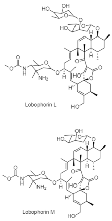 Diversity 15 00030 i031 Diversity 15 00030 i031