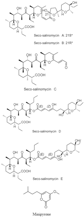 Diversity 15 00030 i034 Diversity 15 00030 i034