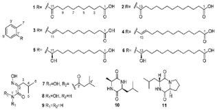 Diversity 15 00030 i037 Diversity 15 00030 i037