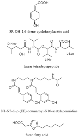 Diversity 15 00030 i041 Diversity 15 00030 i041