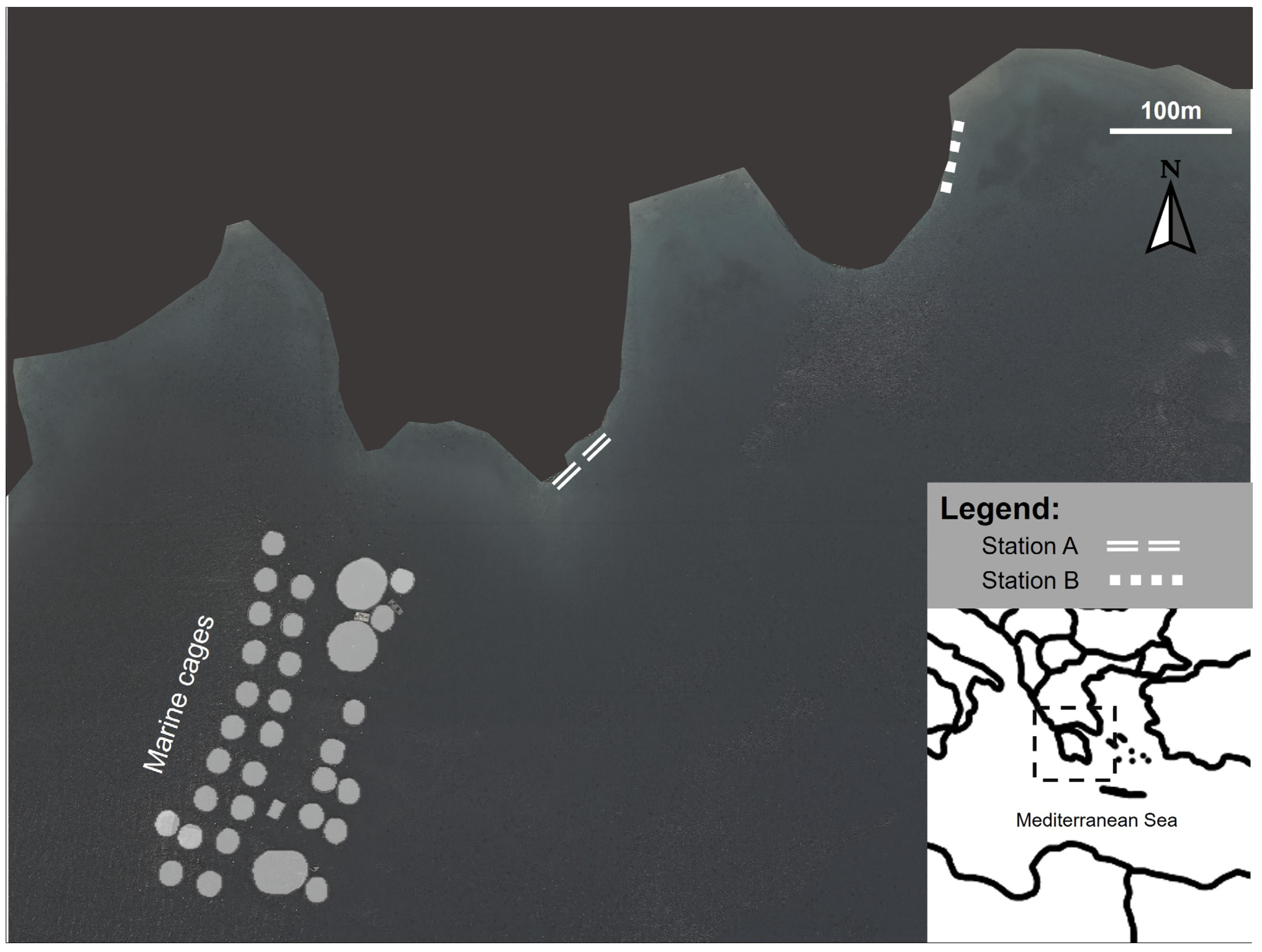 Diversity 15 00031 g001 Diversity 15 00031 g001