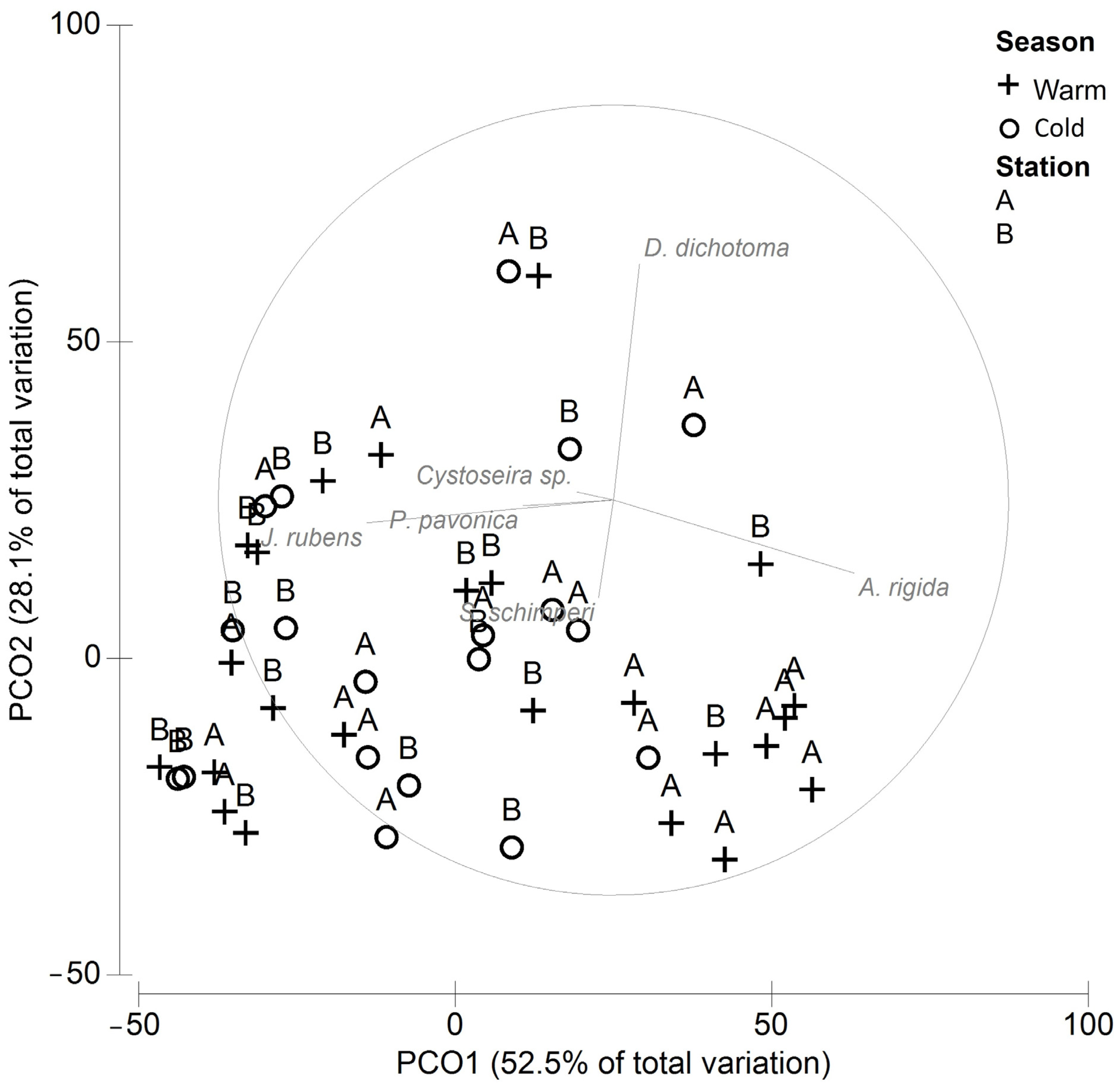 Diversity 15 00031 g002 Diversity 15 00031 g002