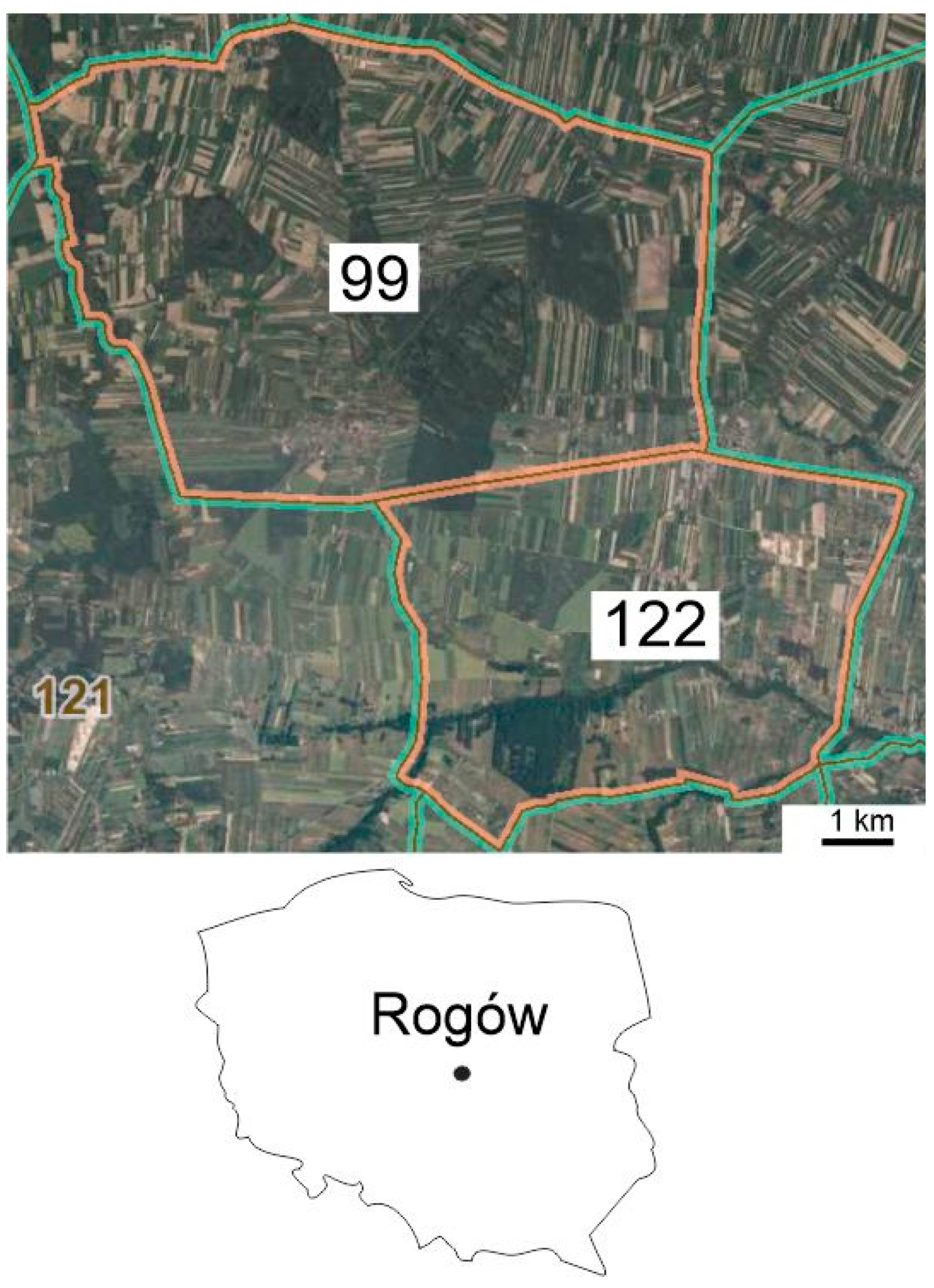 Diversity 15 00032 g001