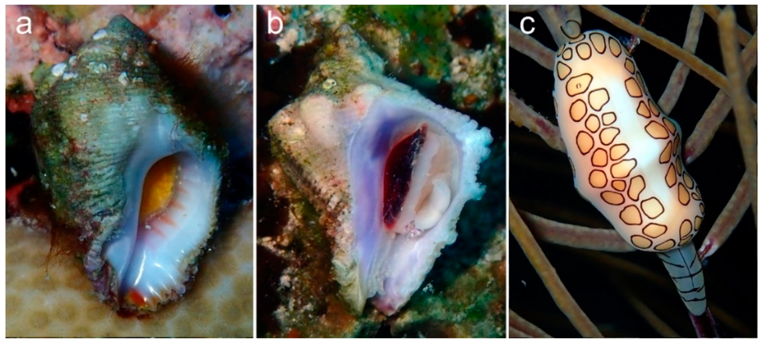 Diversity 15 00034 g001 Diversity 15 00034 g001