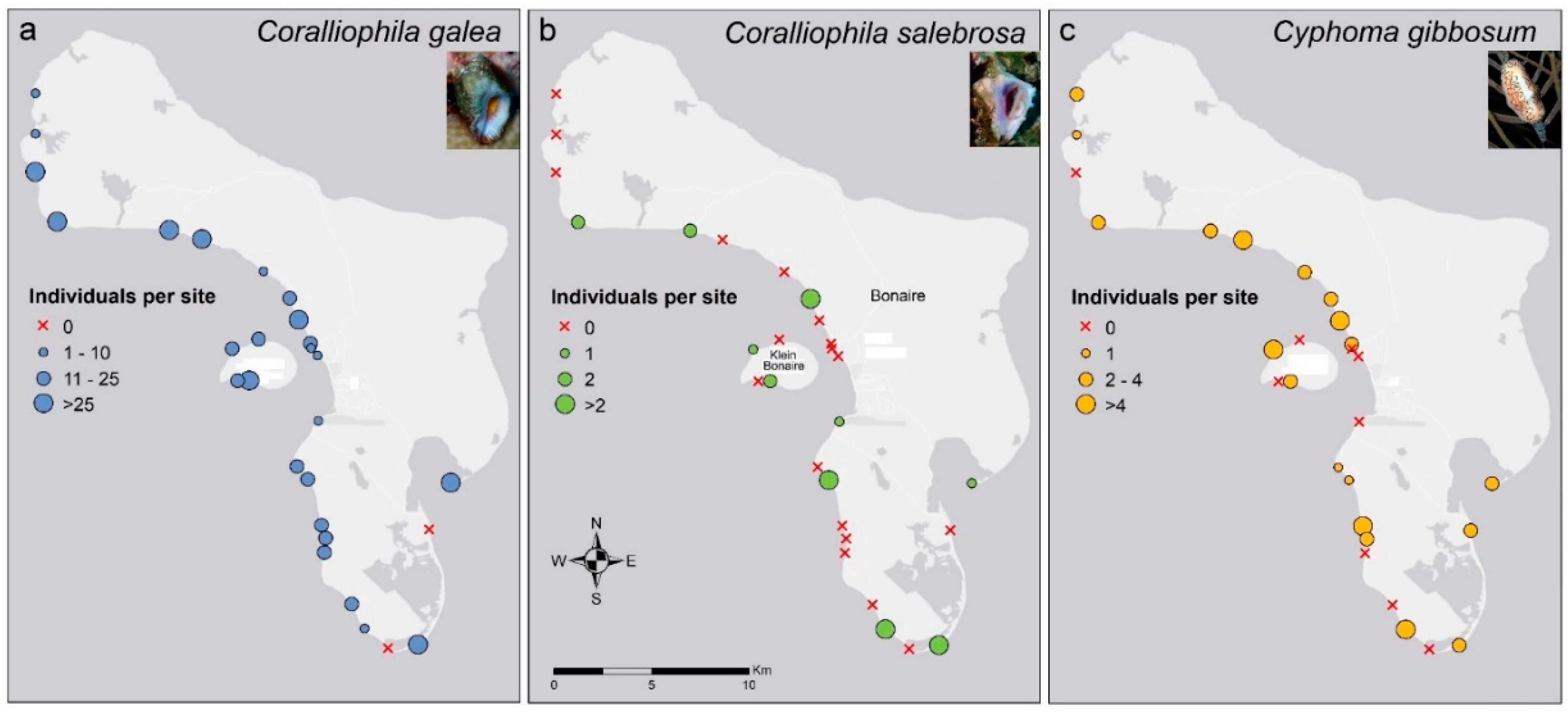 Diversity 15 00034 g002 Diversity 15 00034 g002