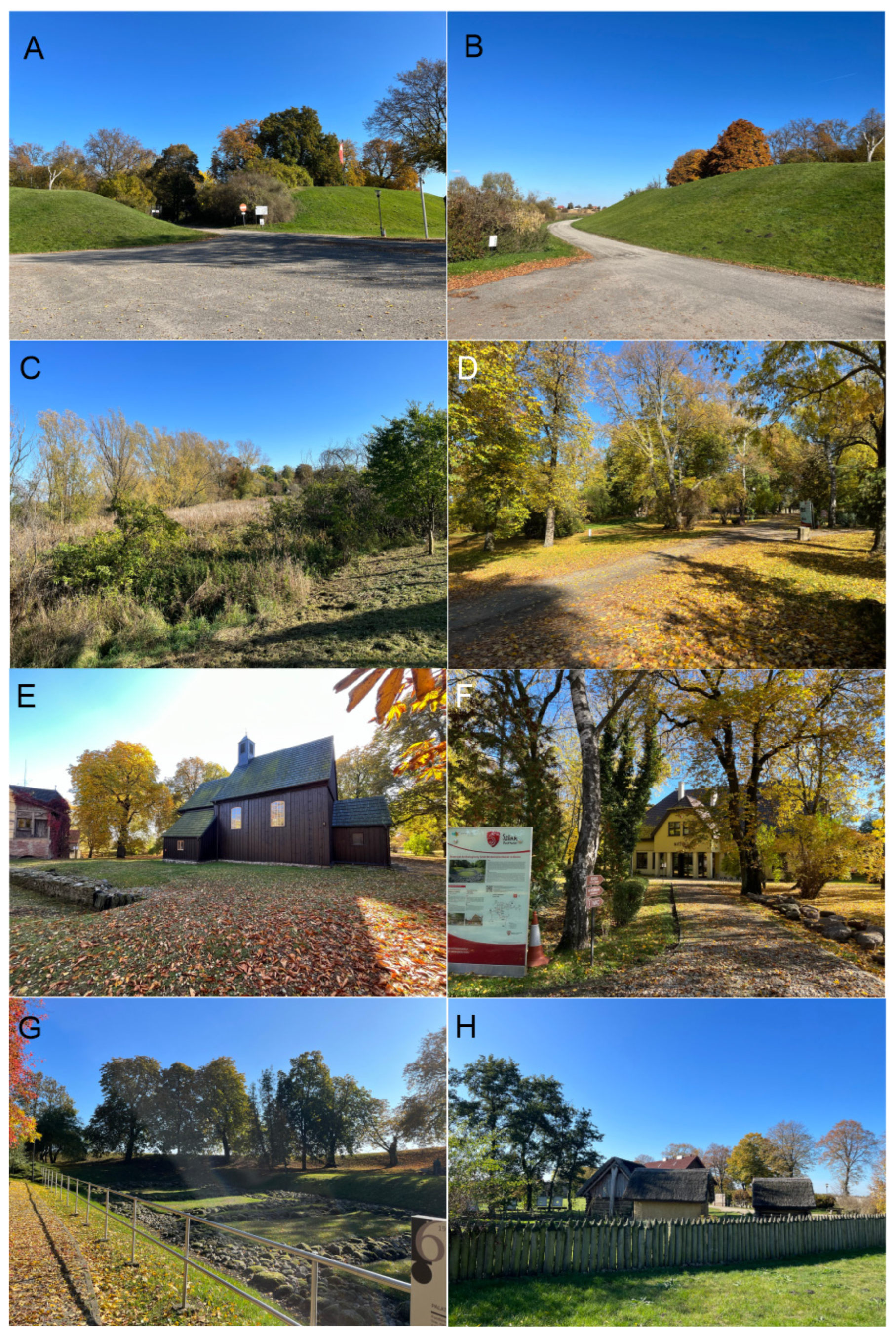 Diversity 15 00035 g002