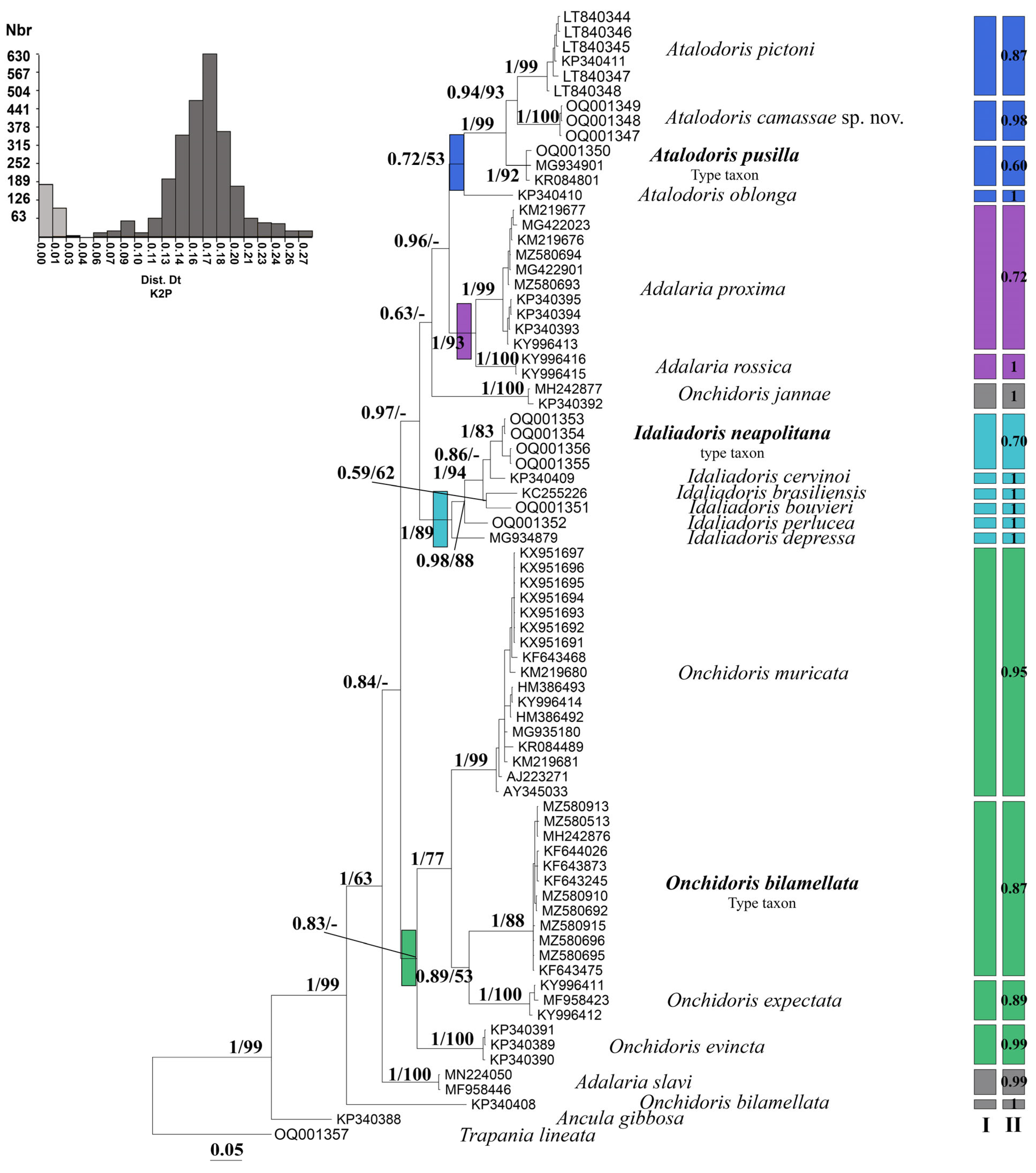 Diversity 15 00038 g003