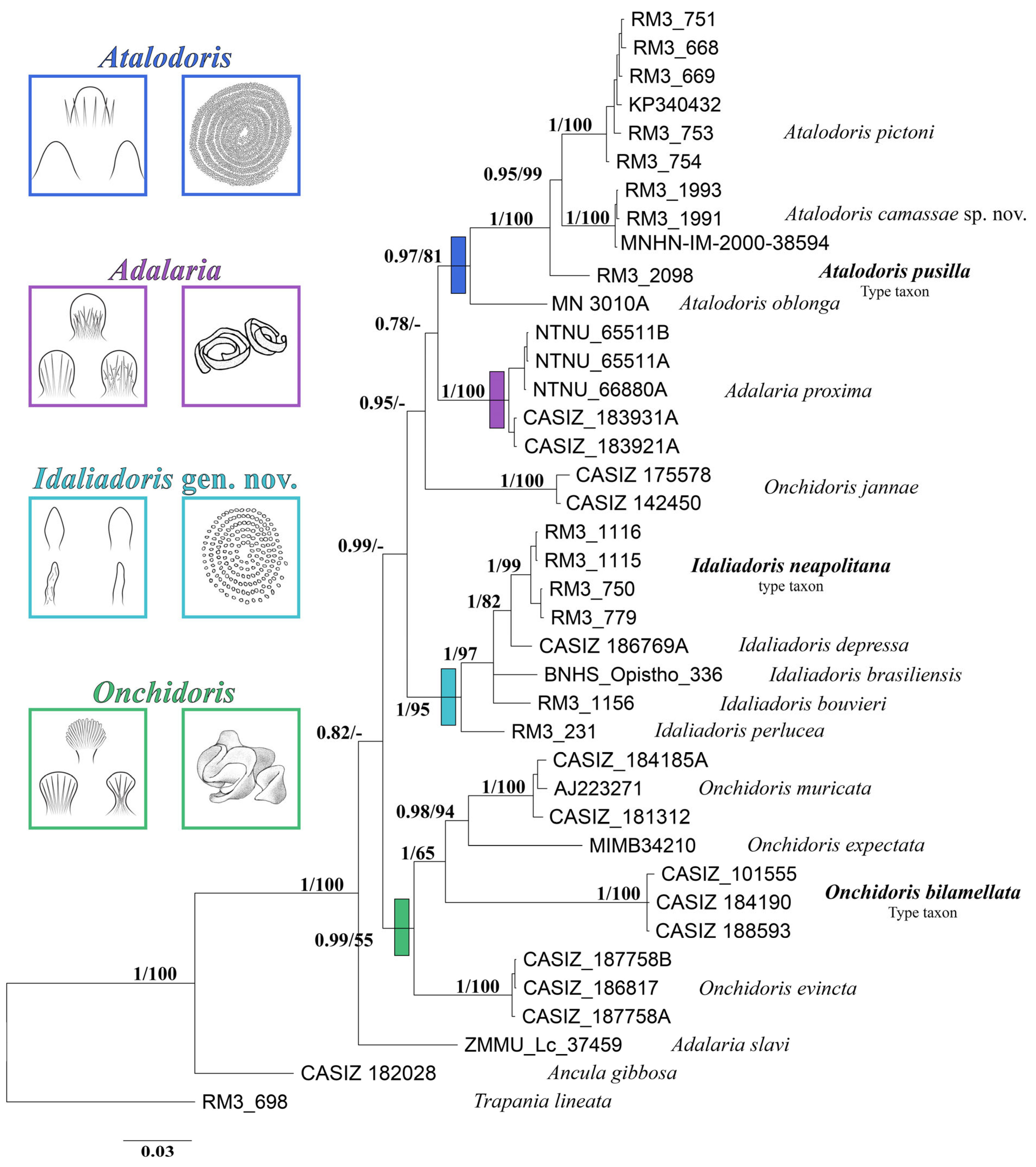 Diversity 15 00038 g004