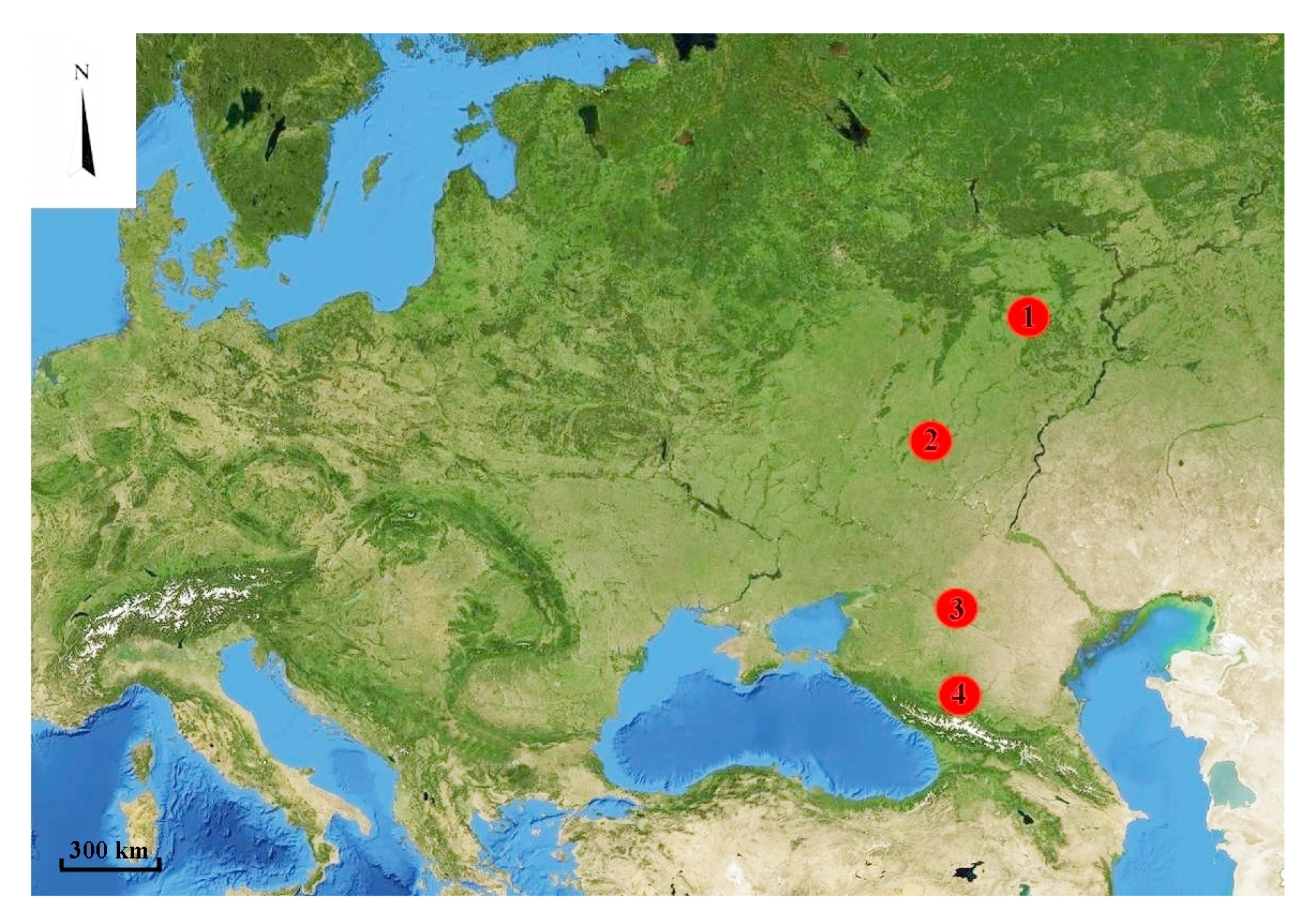 Diversity 15 00039 g001