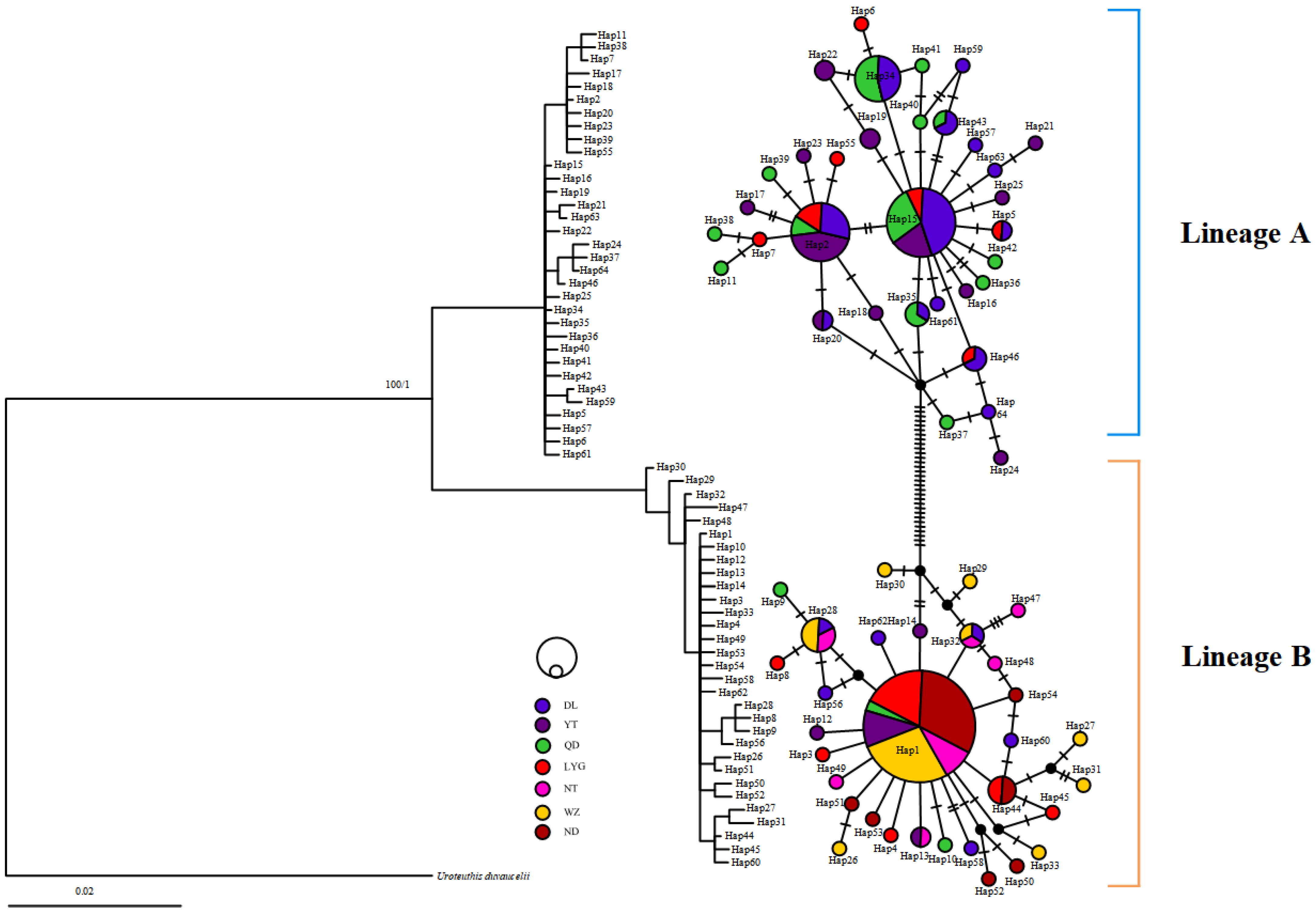 Diversity 15 00041 g002 Diversity 15 00041 g002