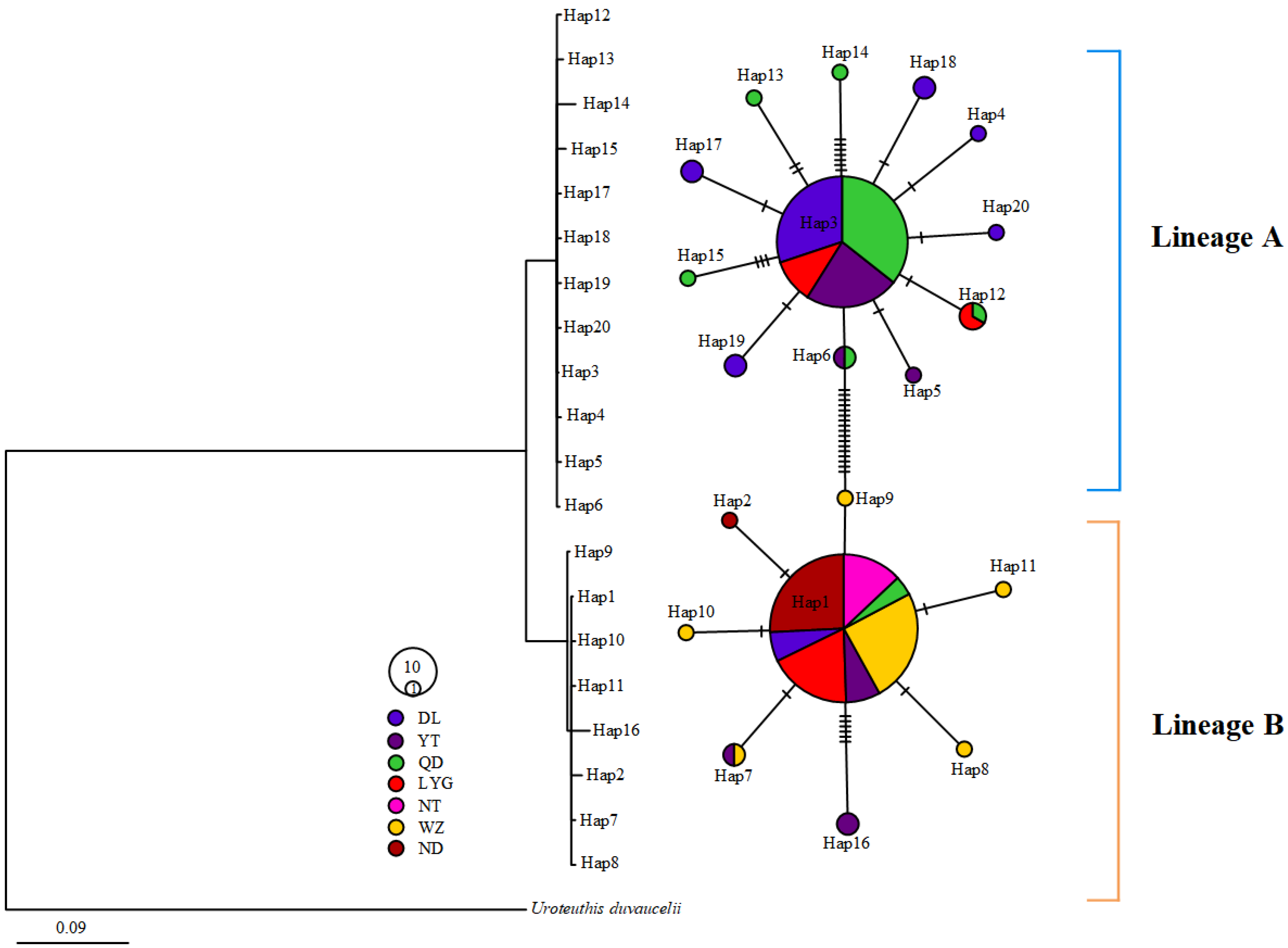 Diversity 15 00041 g003 Diversity 15 00041 g003