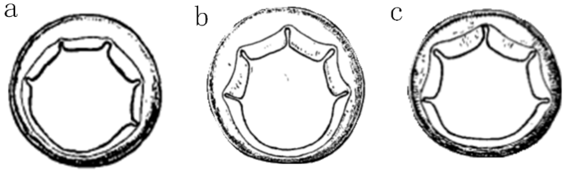 Diversity 15 00041 g006 Diversity 15 00041 g006