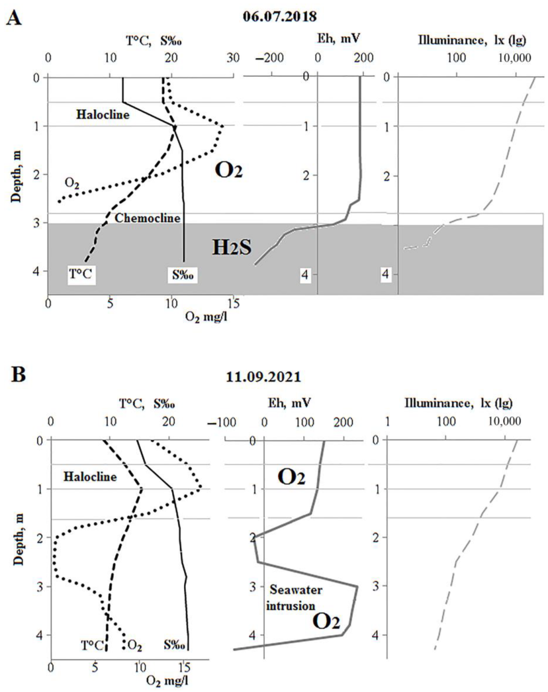 Diversity 15 00044 g001