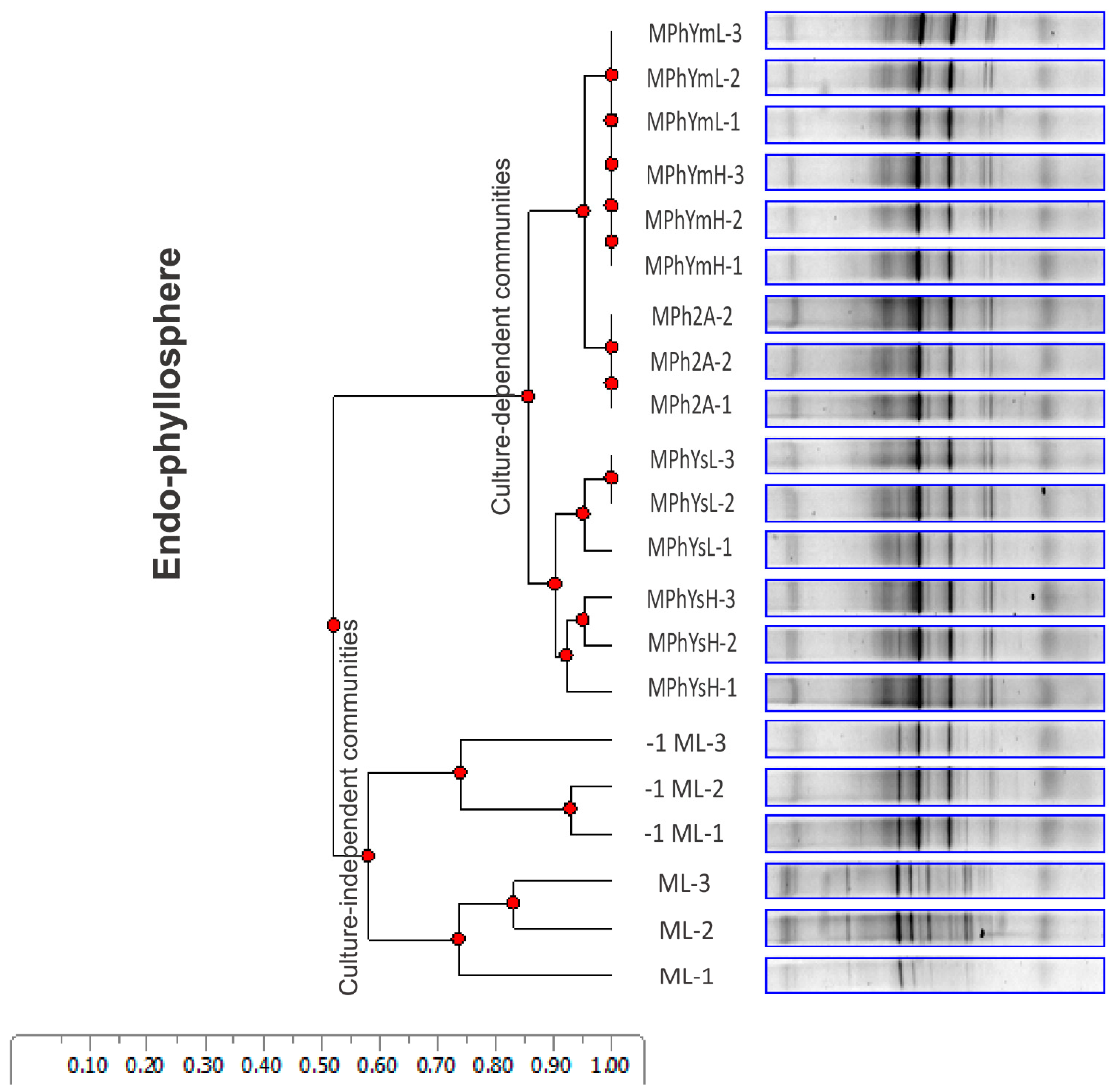 Diversity 15 00046 g001