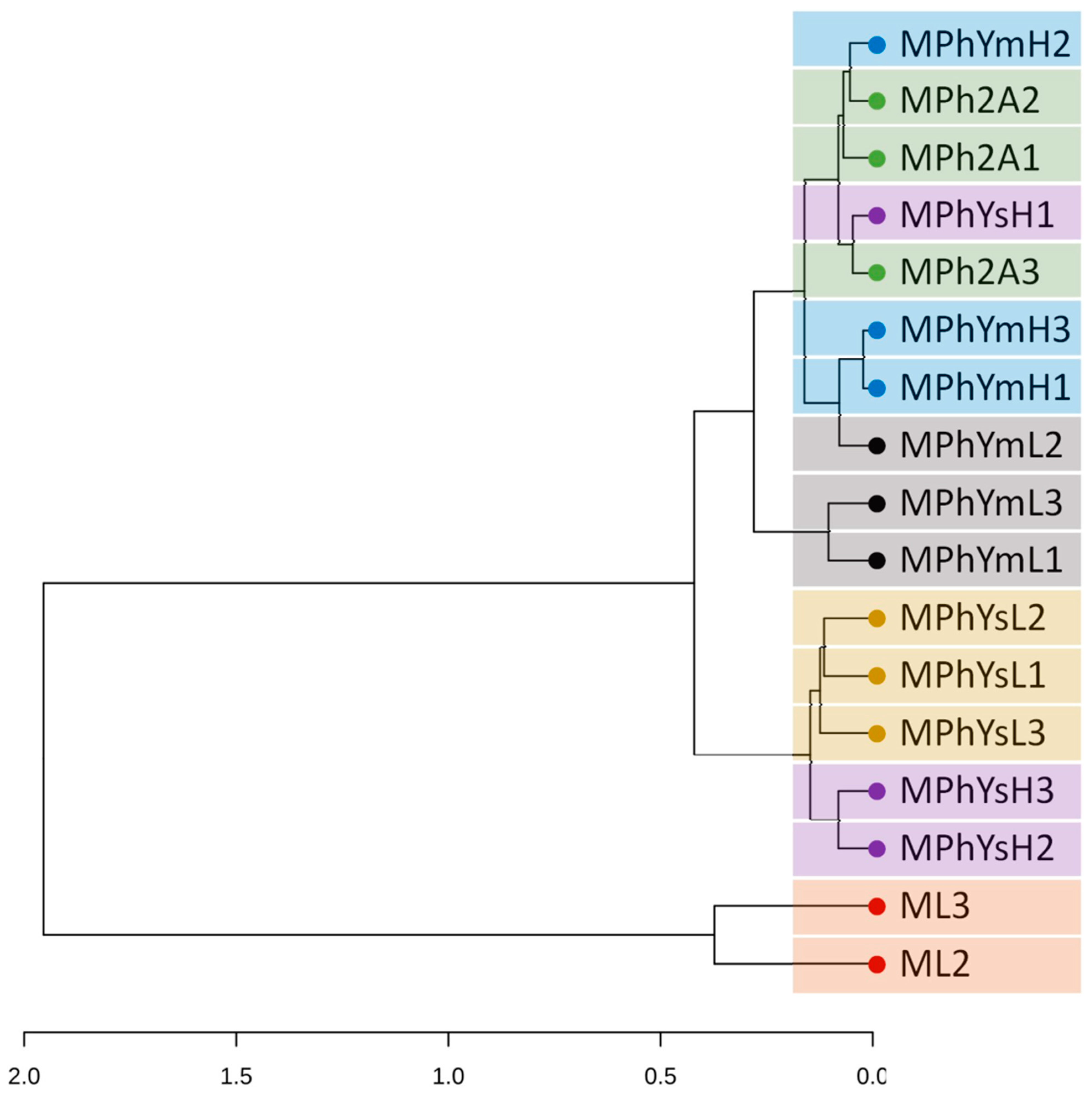 Diversity 15 00046 g002